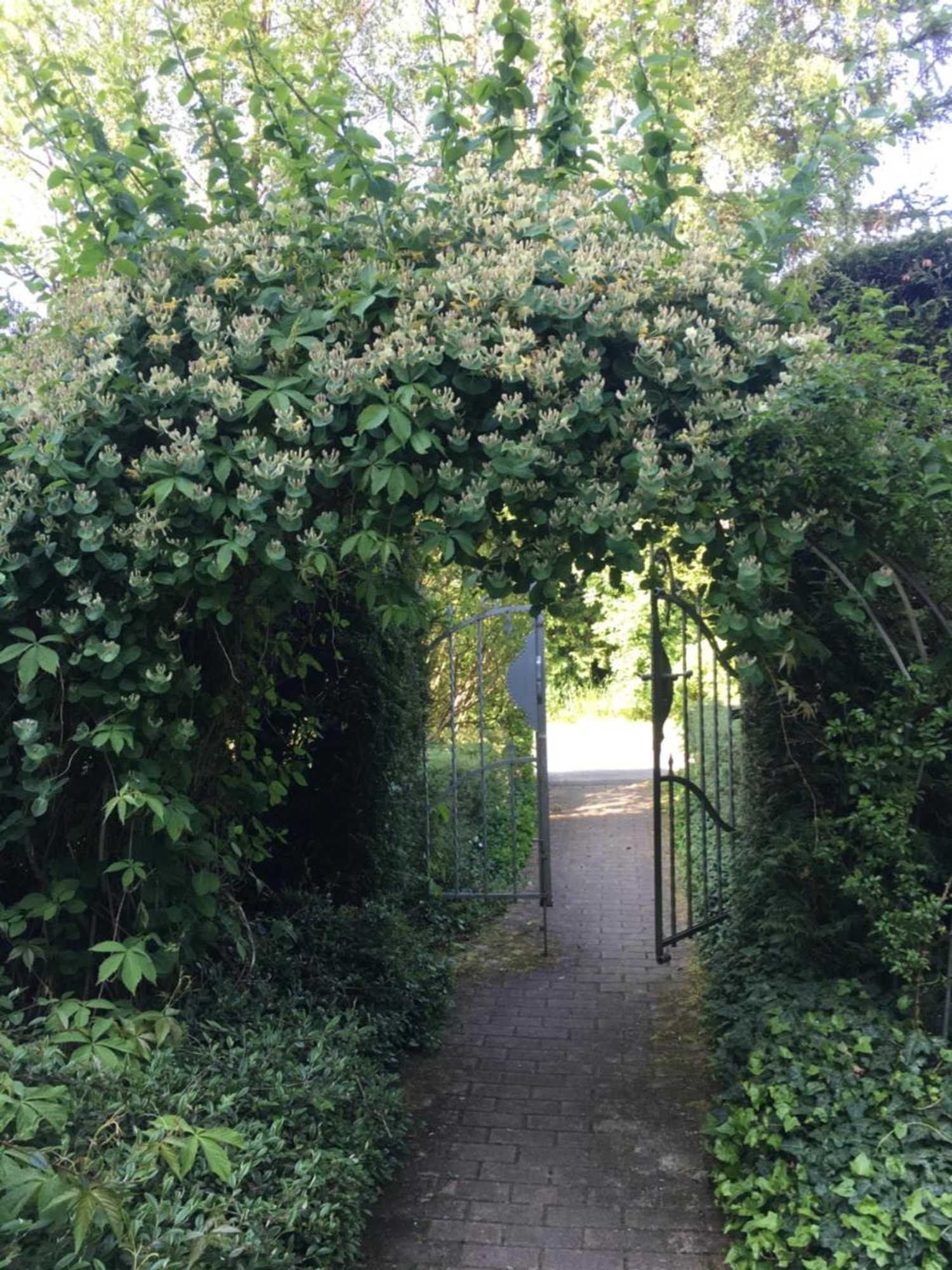 Gift card for Pension Roklan