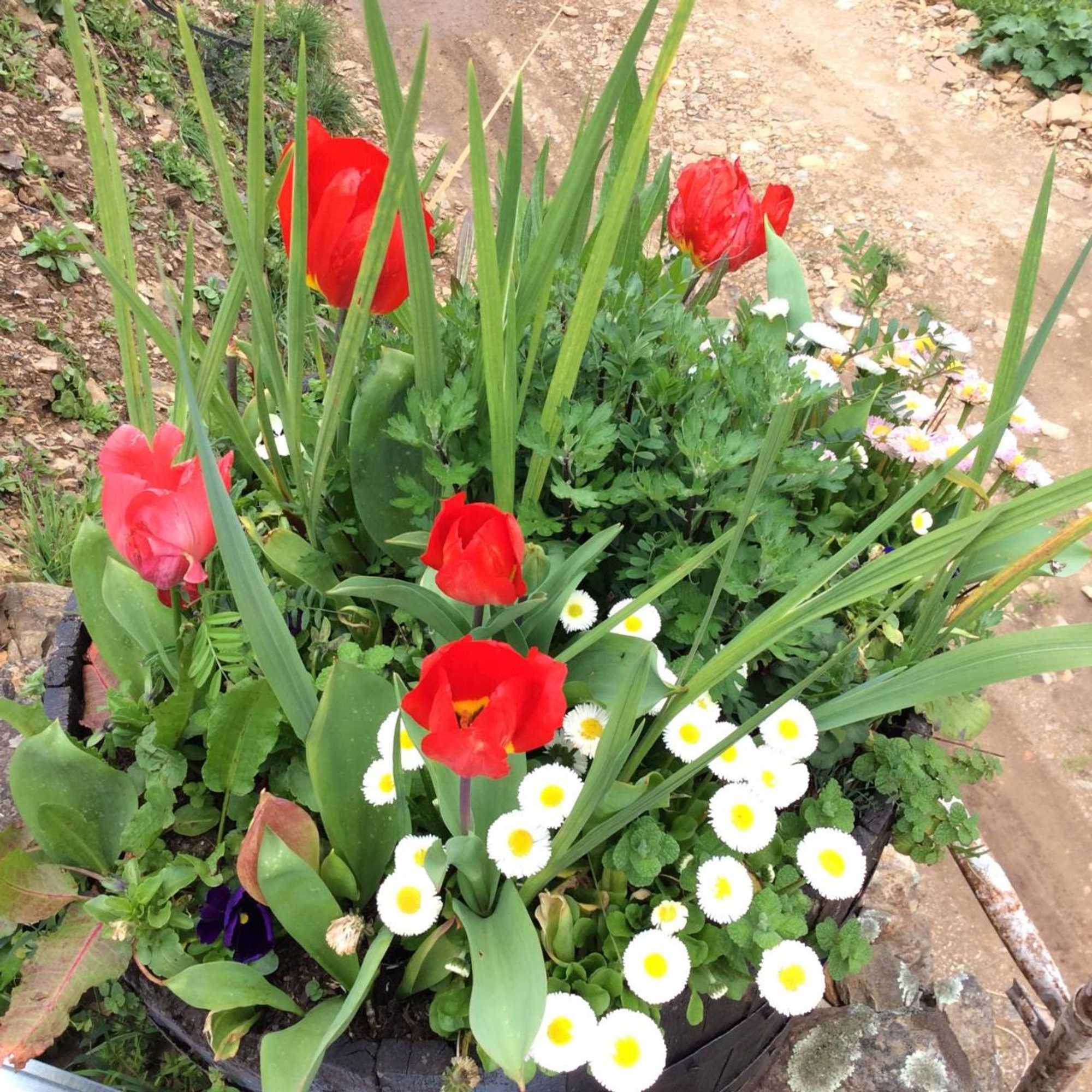 Gift card for Guest Room B&b Agro-Turismo Quinta da Fonte Gift card for Guest Room B&b Agro-Turismo Quinta da Fonte
