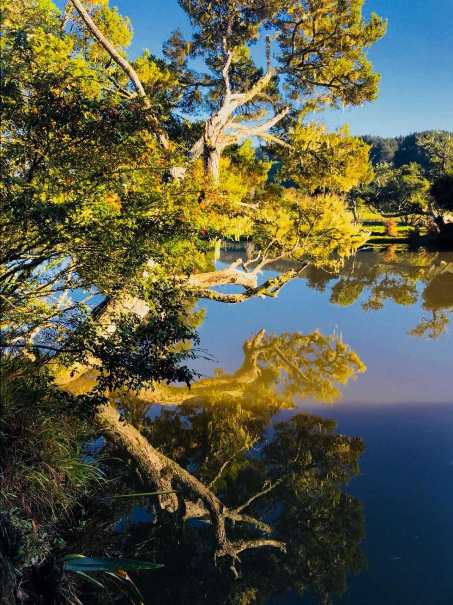 Gift card for Takou River Lodge 