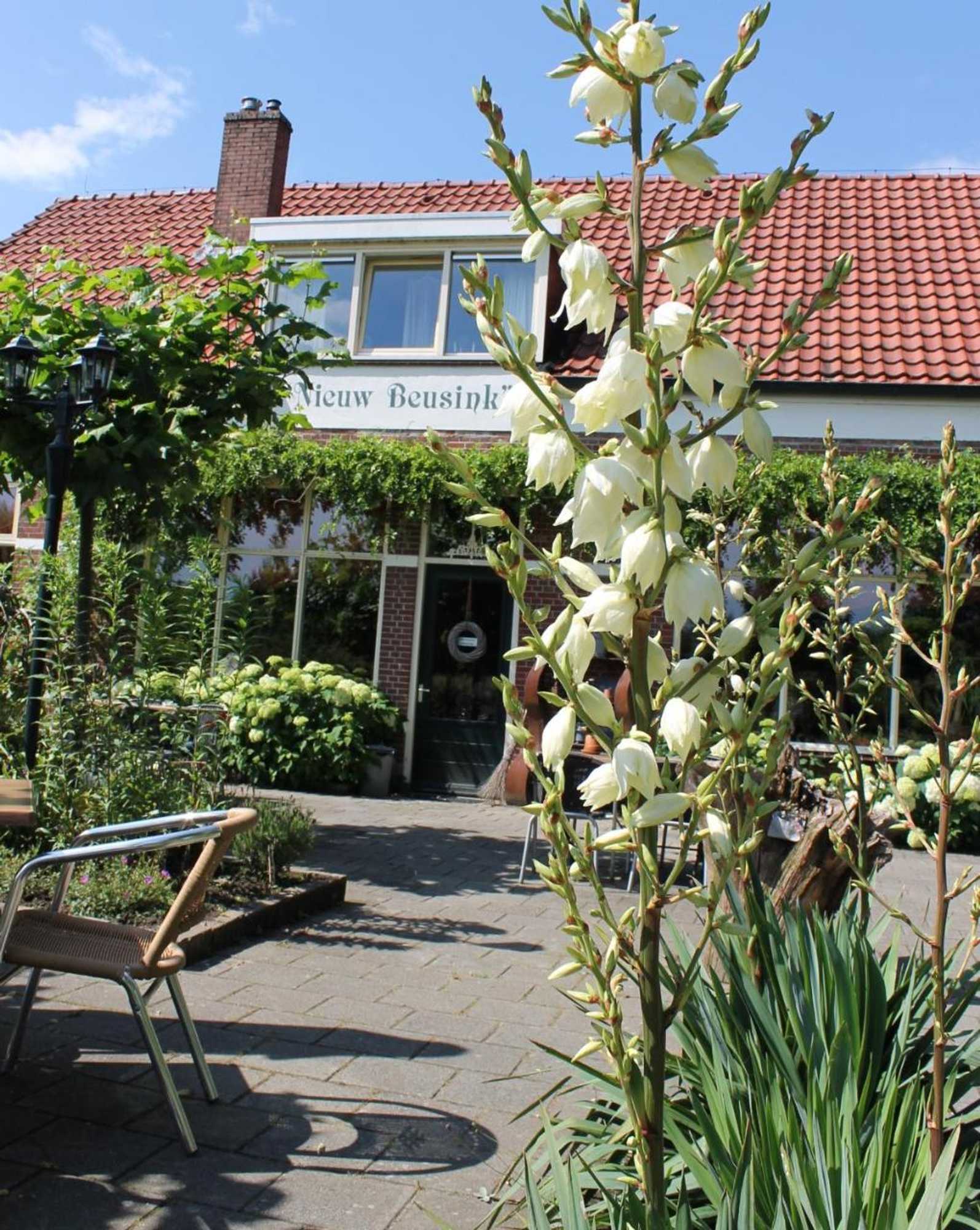Gift card for Nieuw Beusink Bed And Breakfast