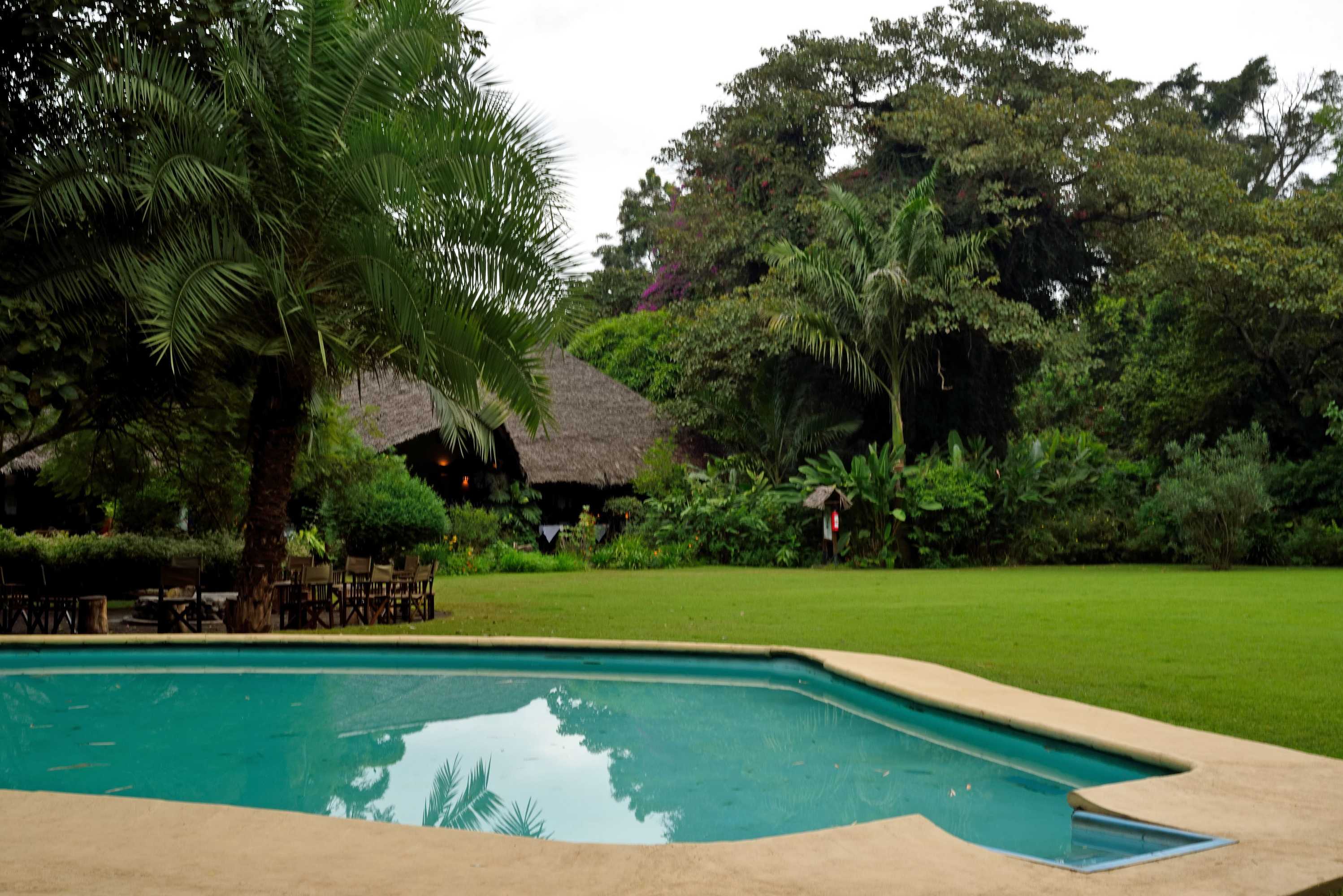 Gift card for Moivaro Coffee Plantation Lodge Gift card for Moivaro Coffee Plantation Lodge