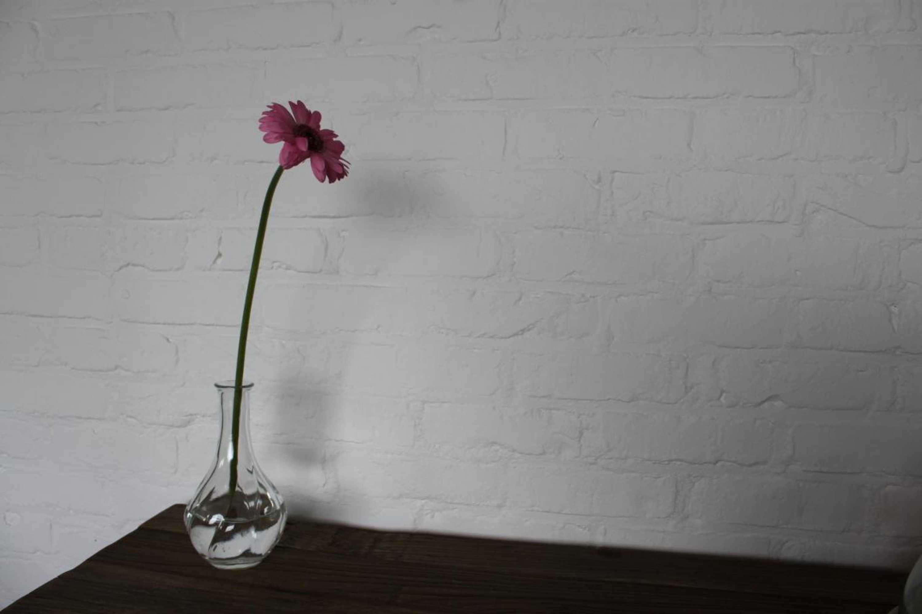 Gift card for B&b 't Hoogste