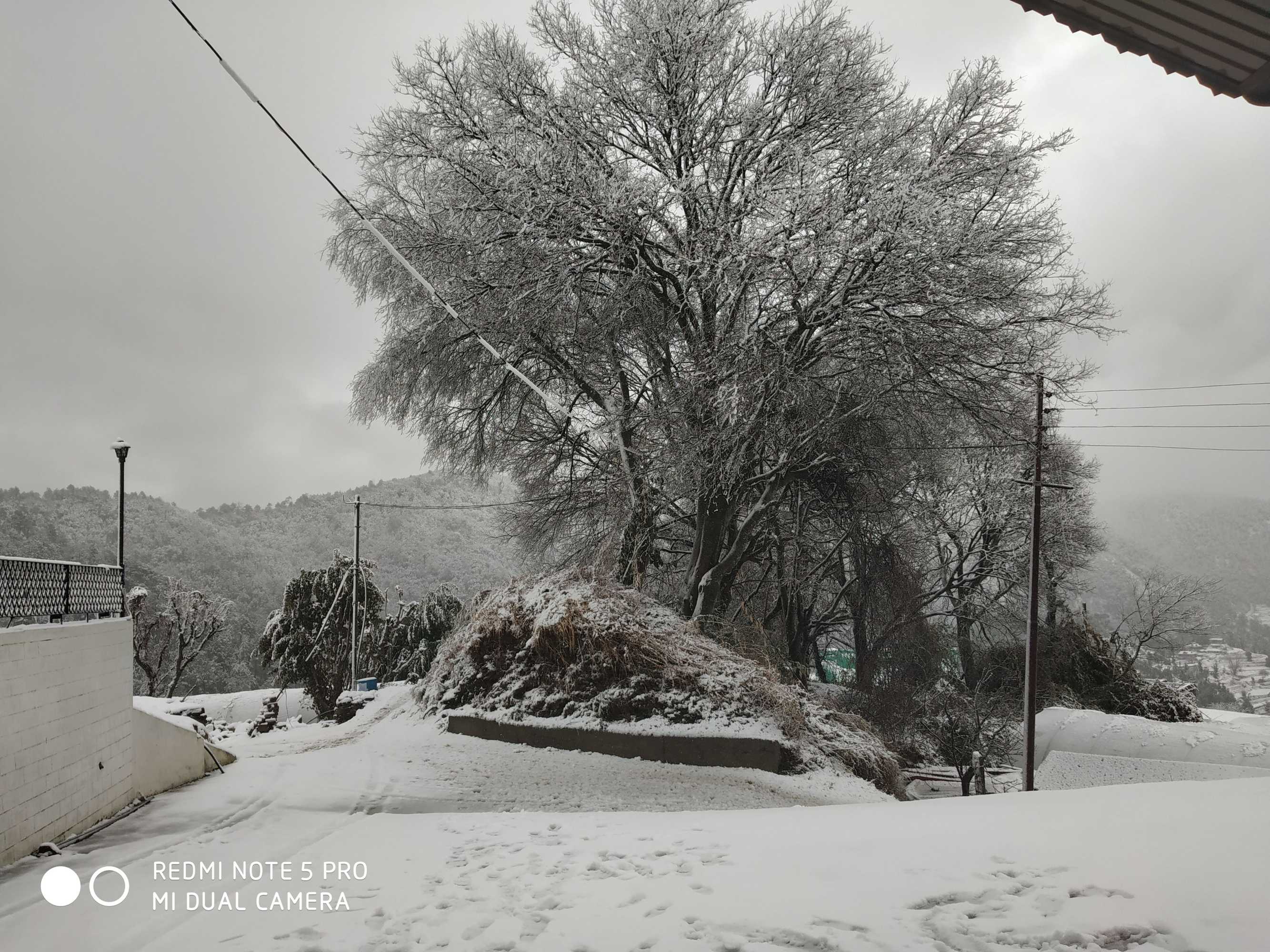 Gift card for Mountain View Resort