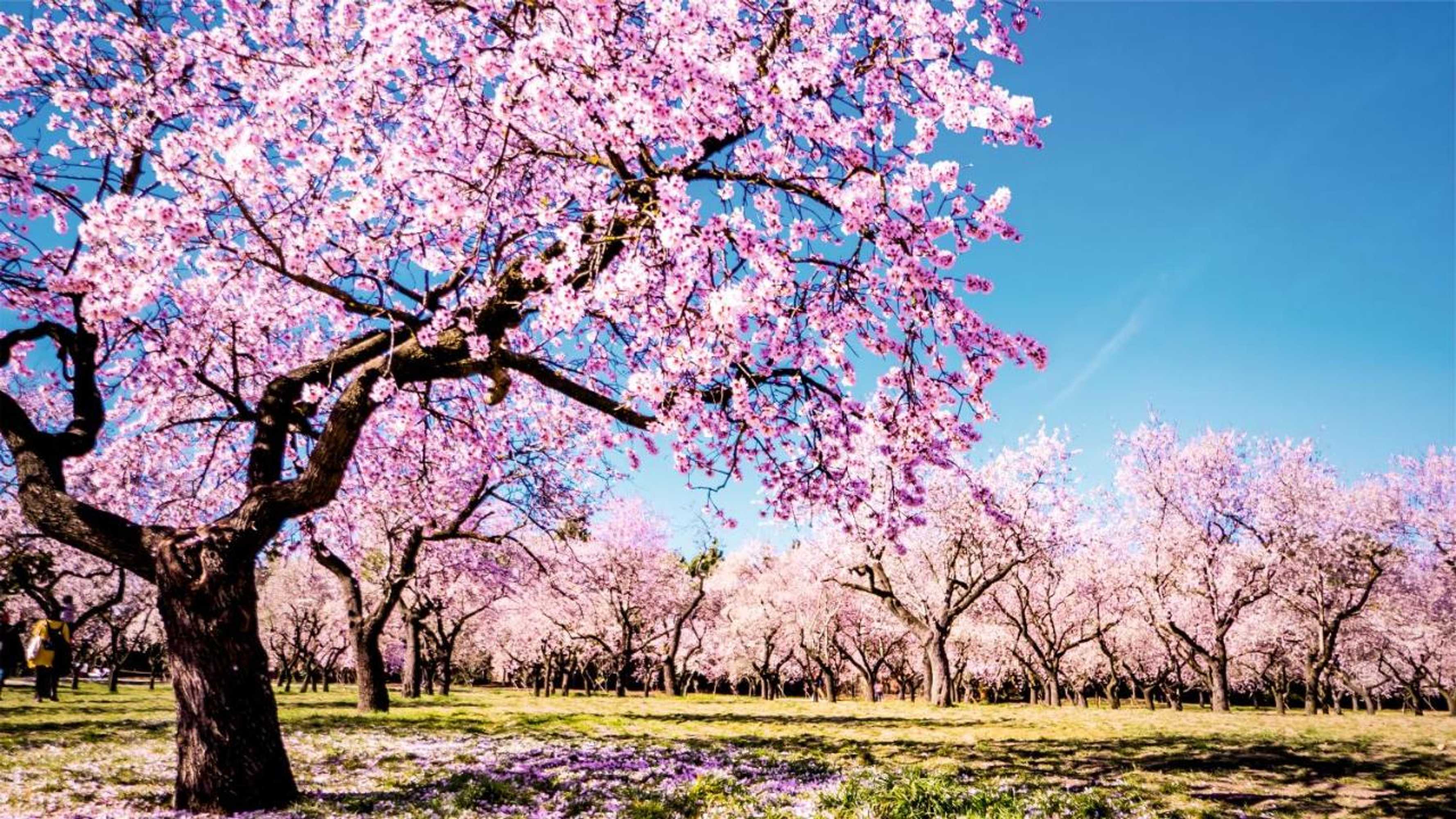 Gift card for Hotel Vale Do Côa