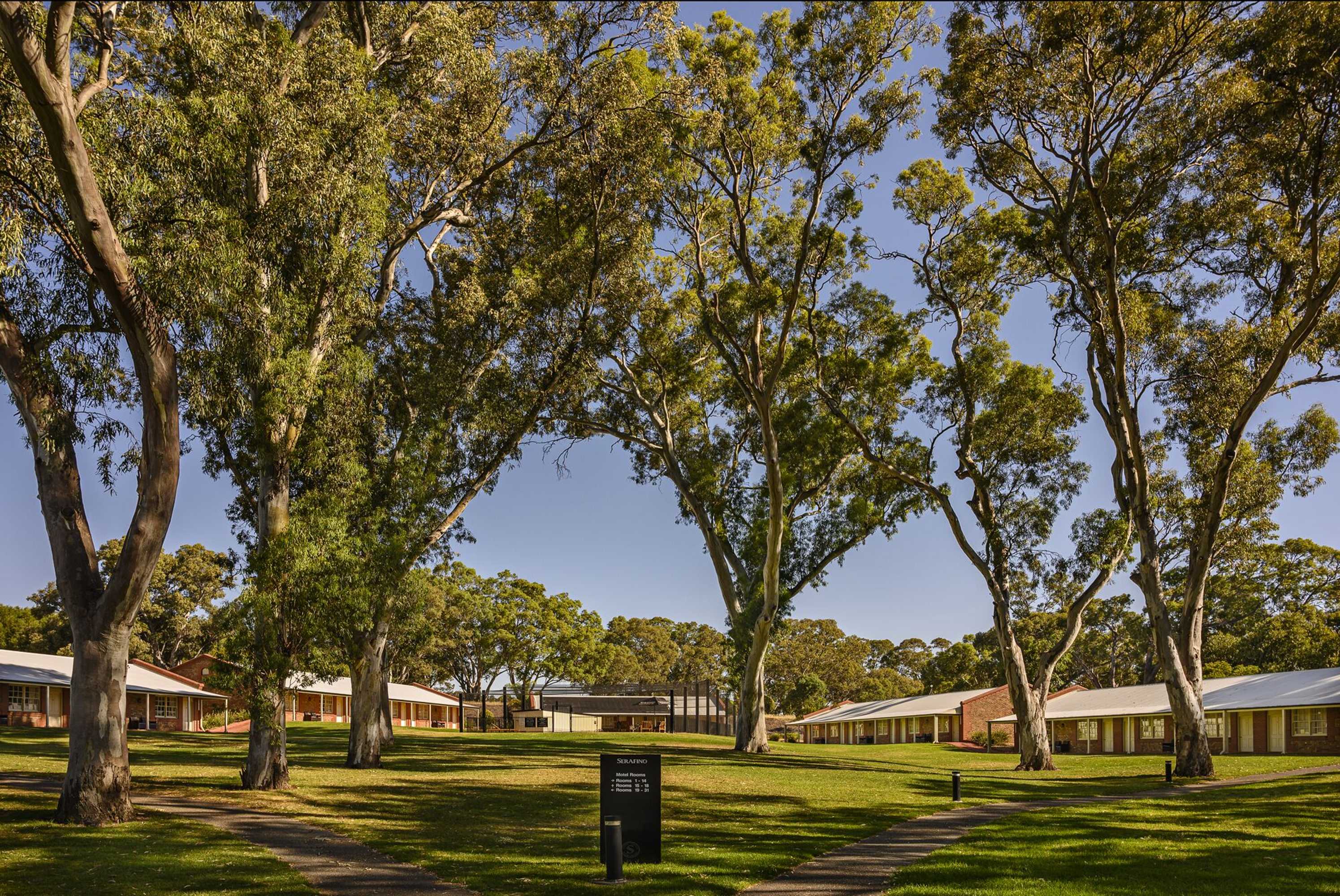 Gift card for Serafino Mclaren Vale Gift card for Serafino Mclaren Vale