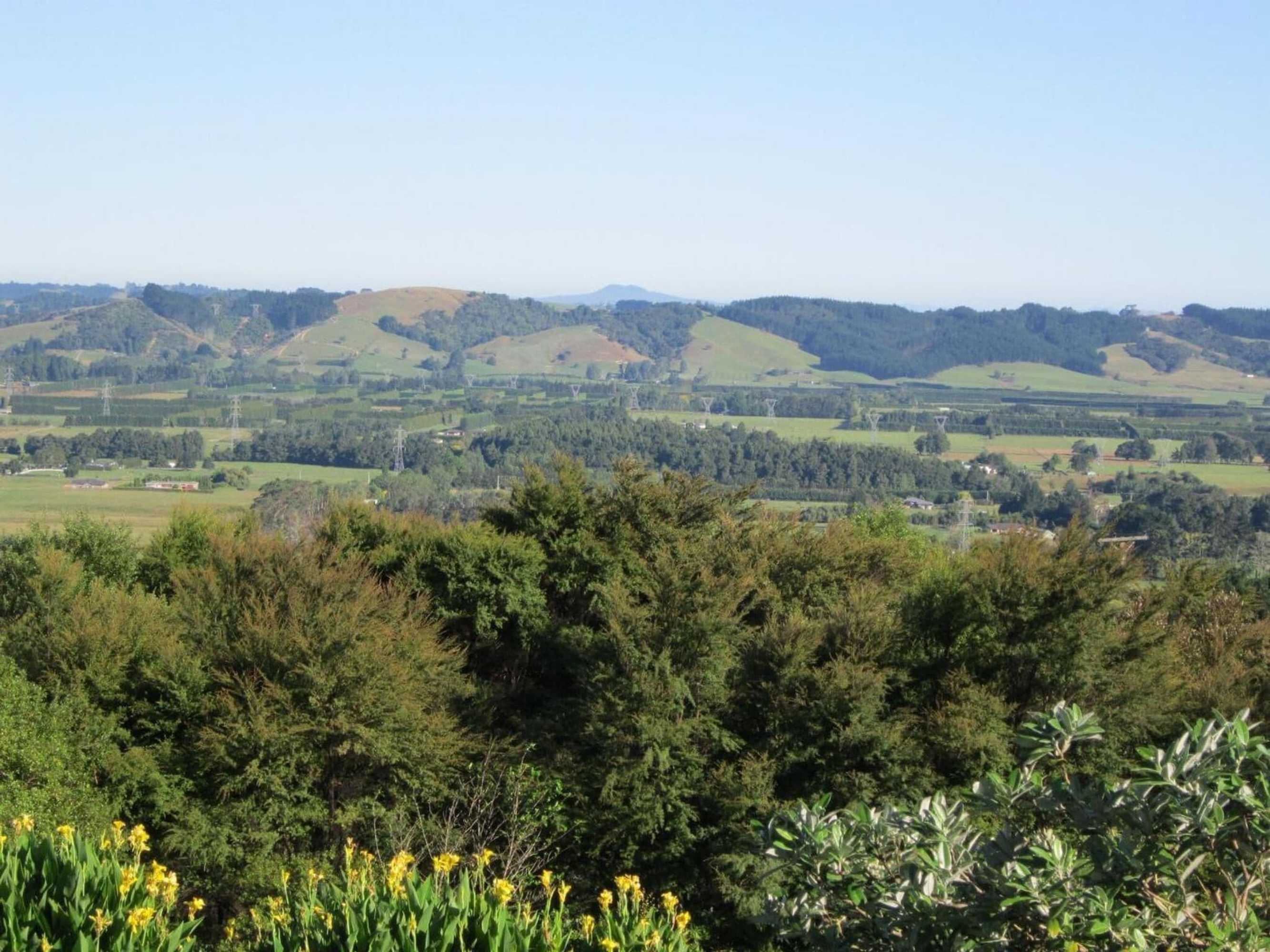 Gift card for Auckland Country Cottages Gift card for Auckland Country Cottages