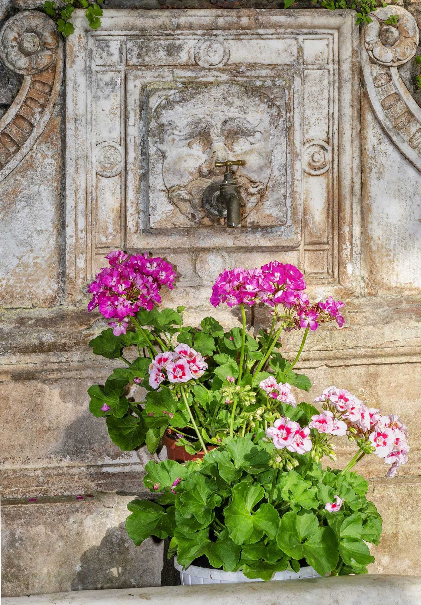Gift card for Casa Diocesana di Lucca Gift card for Casa Diocesana di Lucca