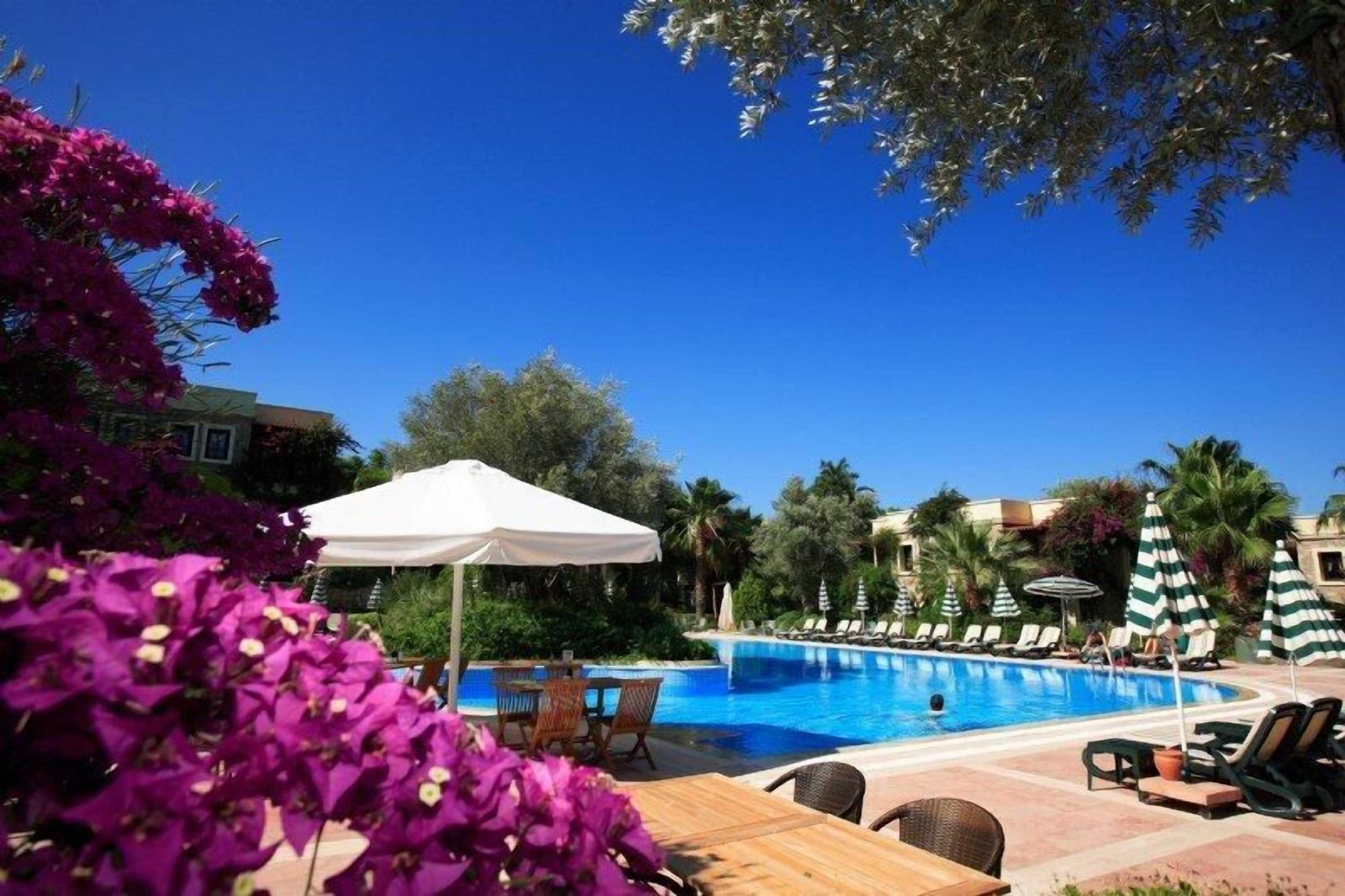 Gift card for Hotel Zeytinada Gift card for Hotel Zeytinada
