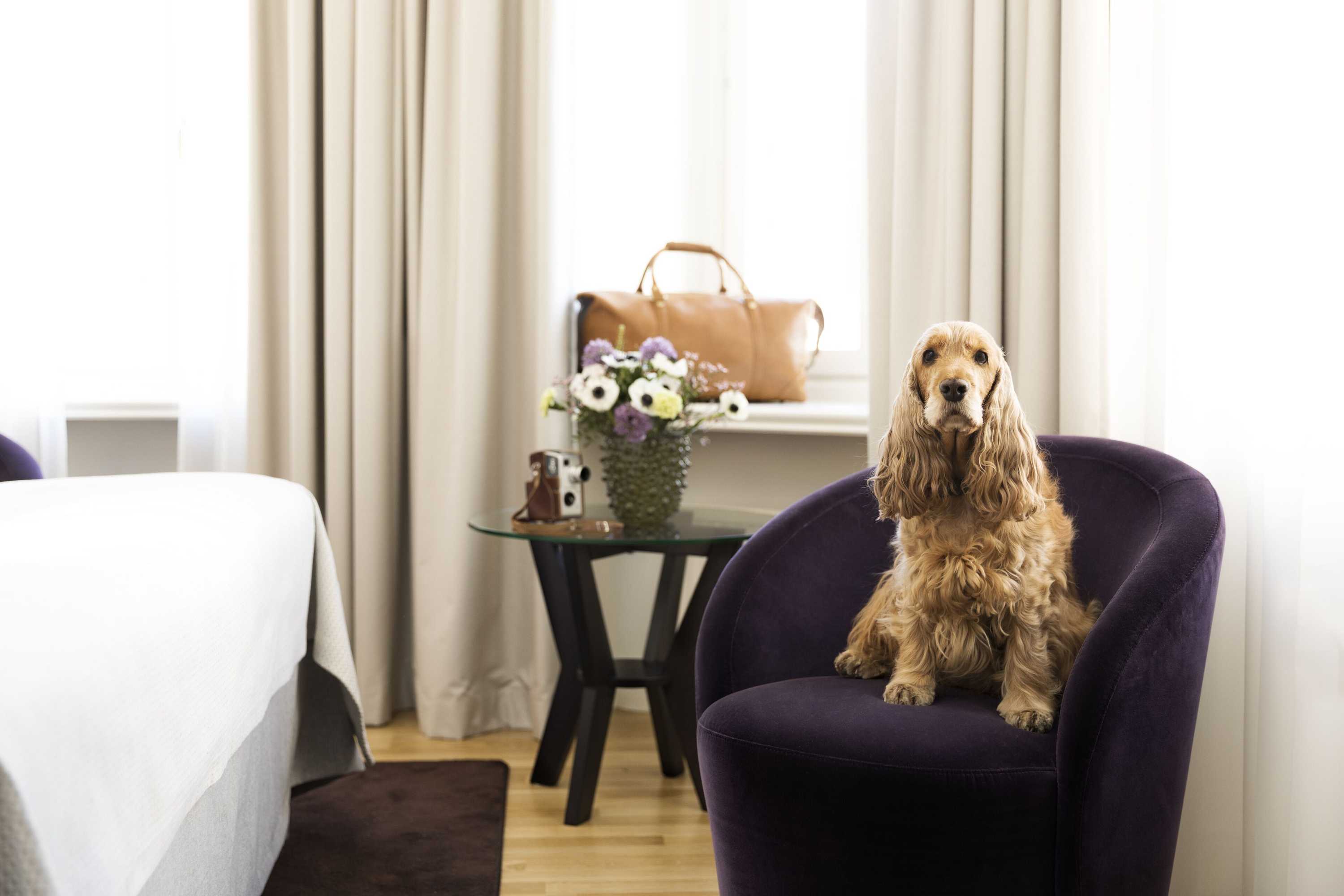 Gift card for Elite Stadshotellet Eskilstuna Gift card for Elite Stadshotellet Eskilstuna