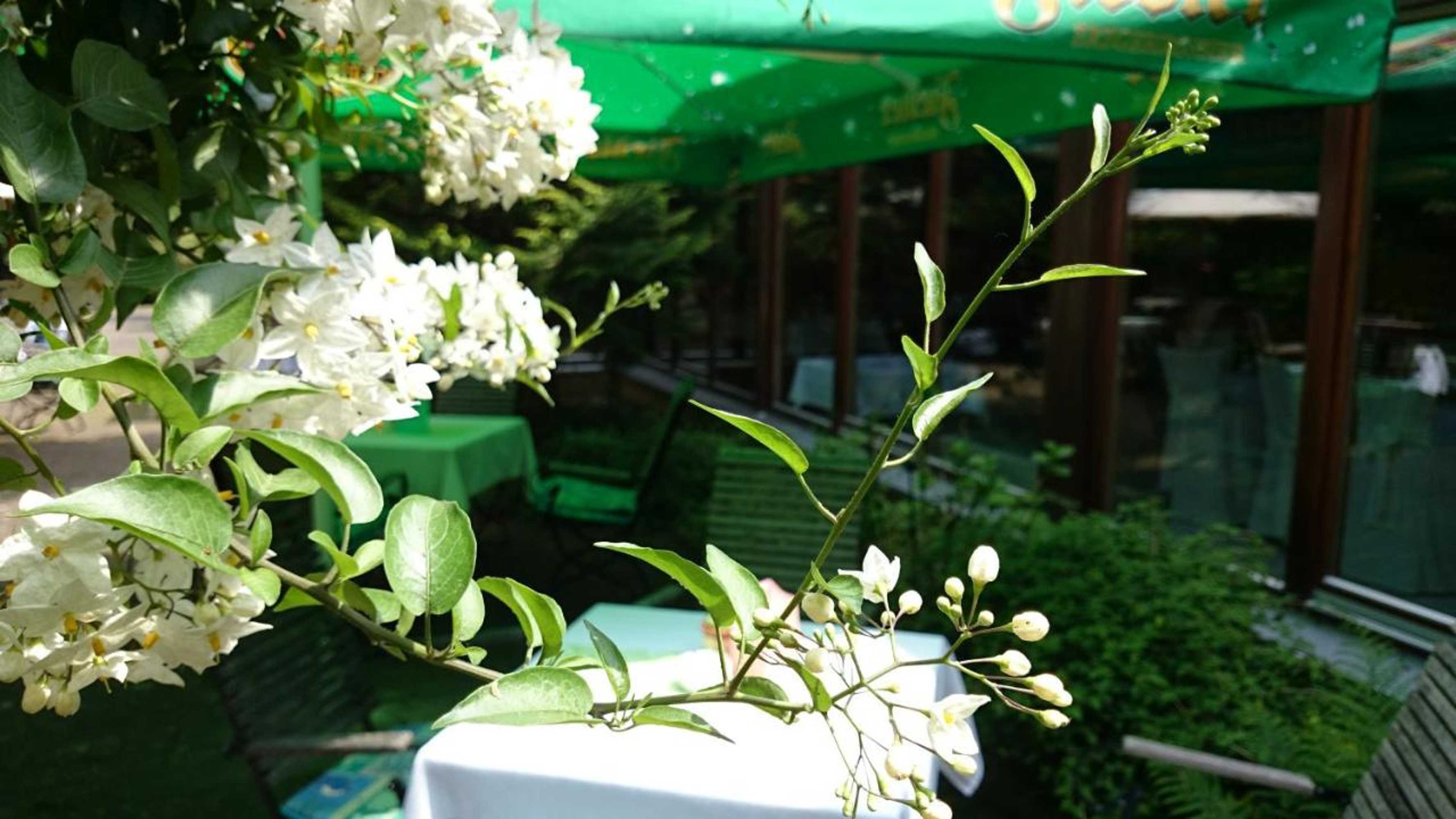 Gift card for Schneiderlein Hotel