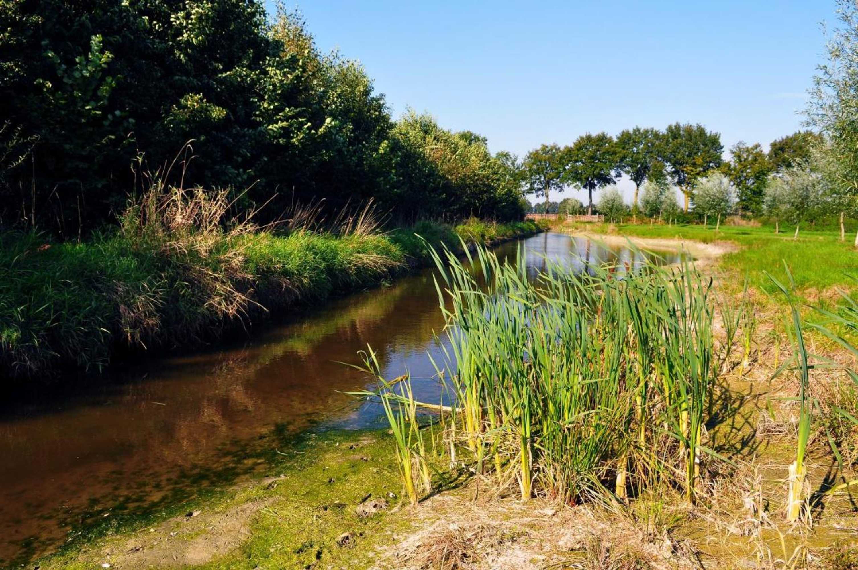 Gift card for Weibos Bed & Breakfast