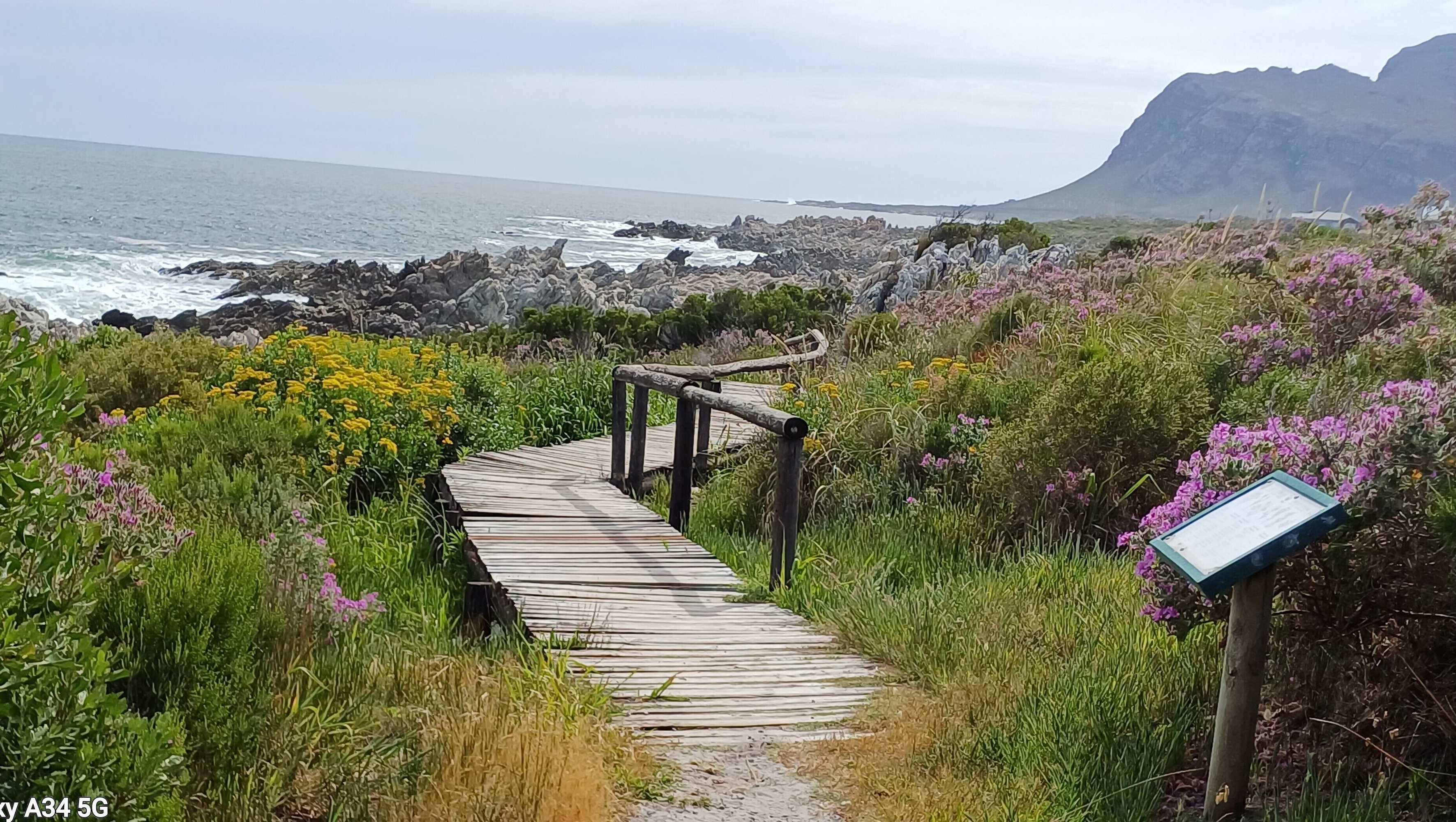 Gift card for Kleinmond Panorama Self-Catering Gift card for Kleinmond Panorama Self-Catering