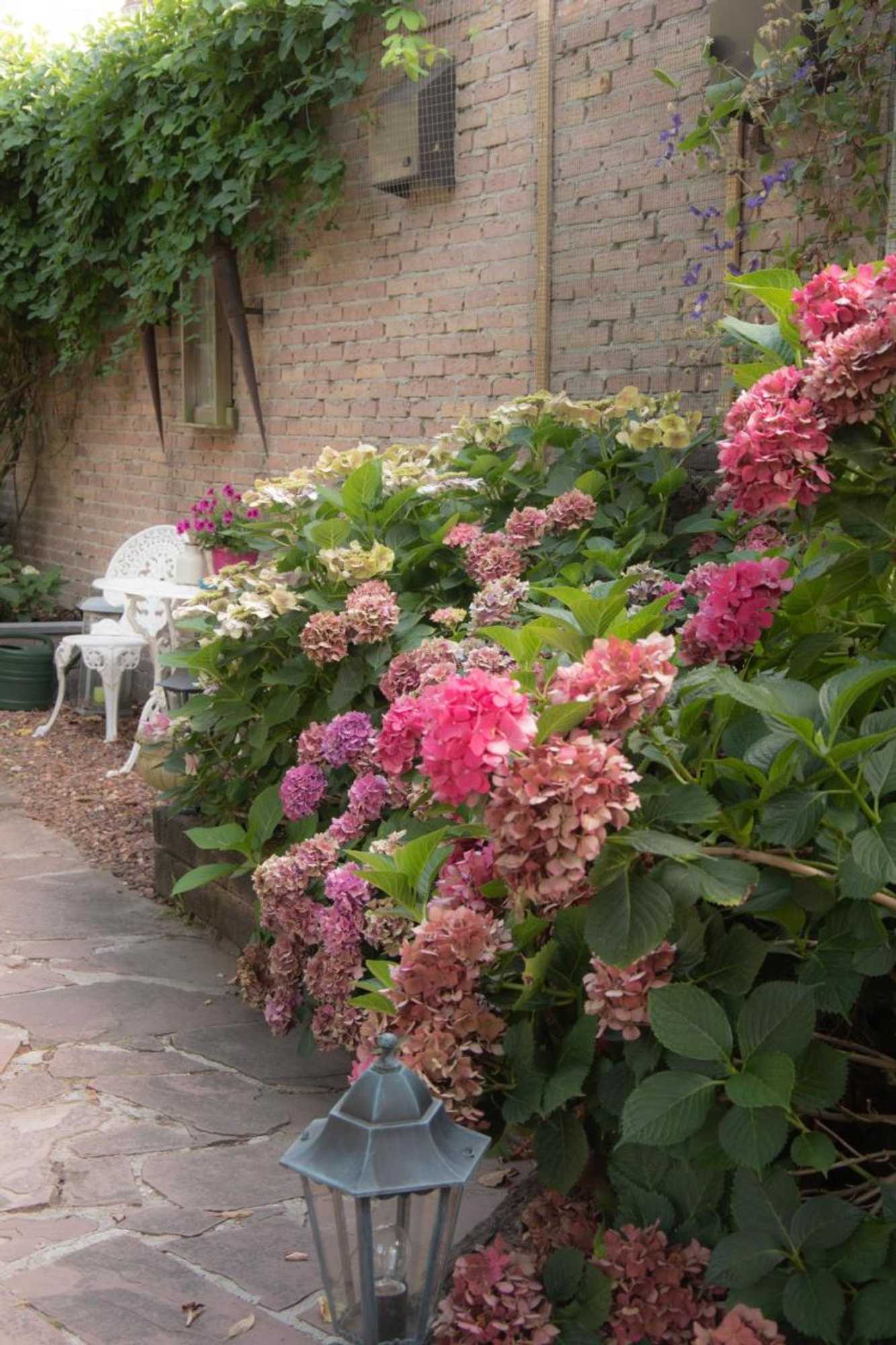 Gift card for B&b Bed & Sauna