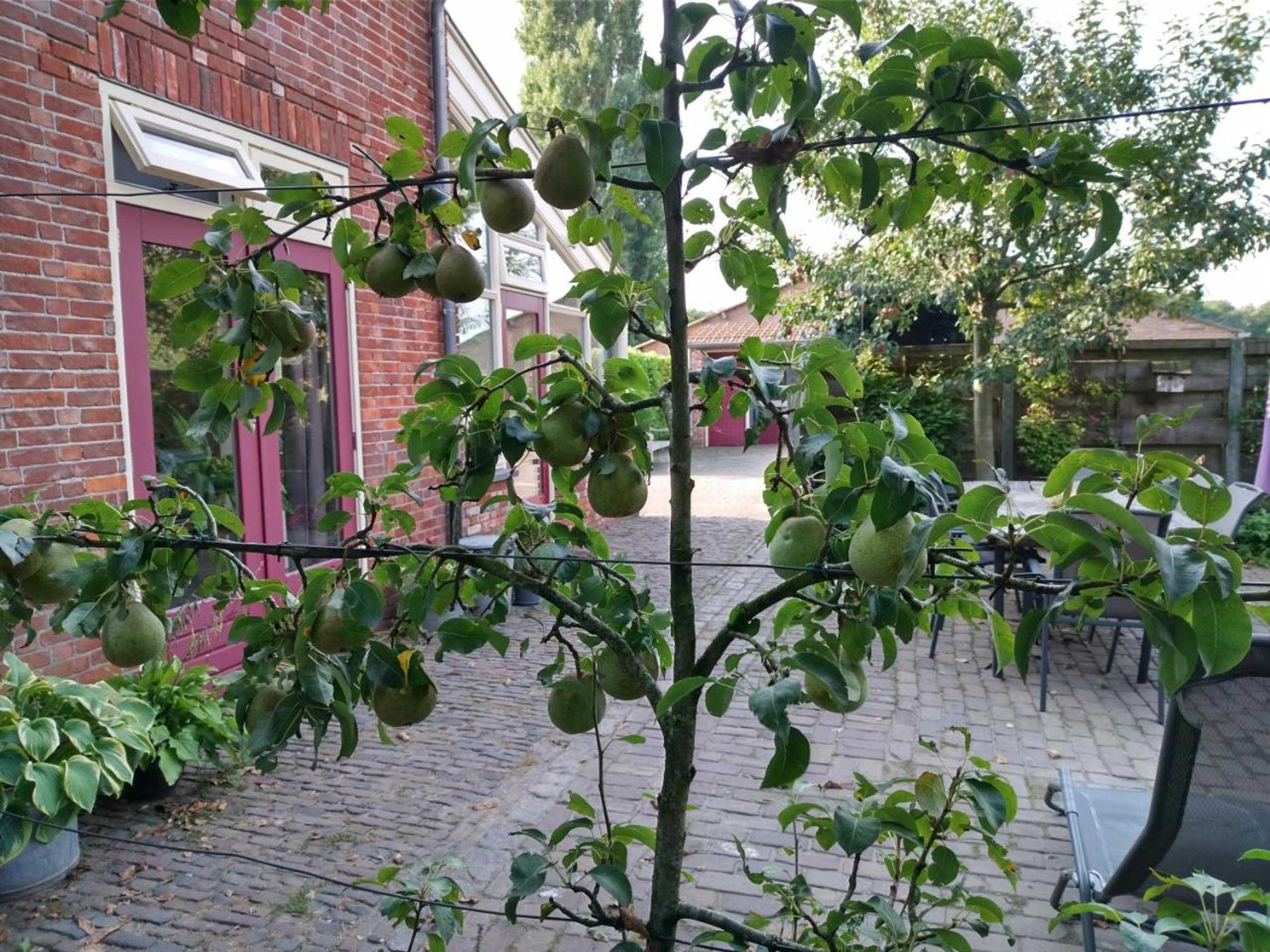 Gift card for Bed op de Reth