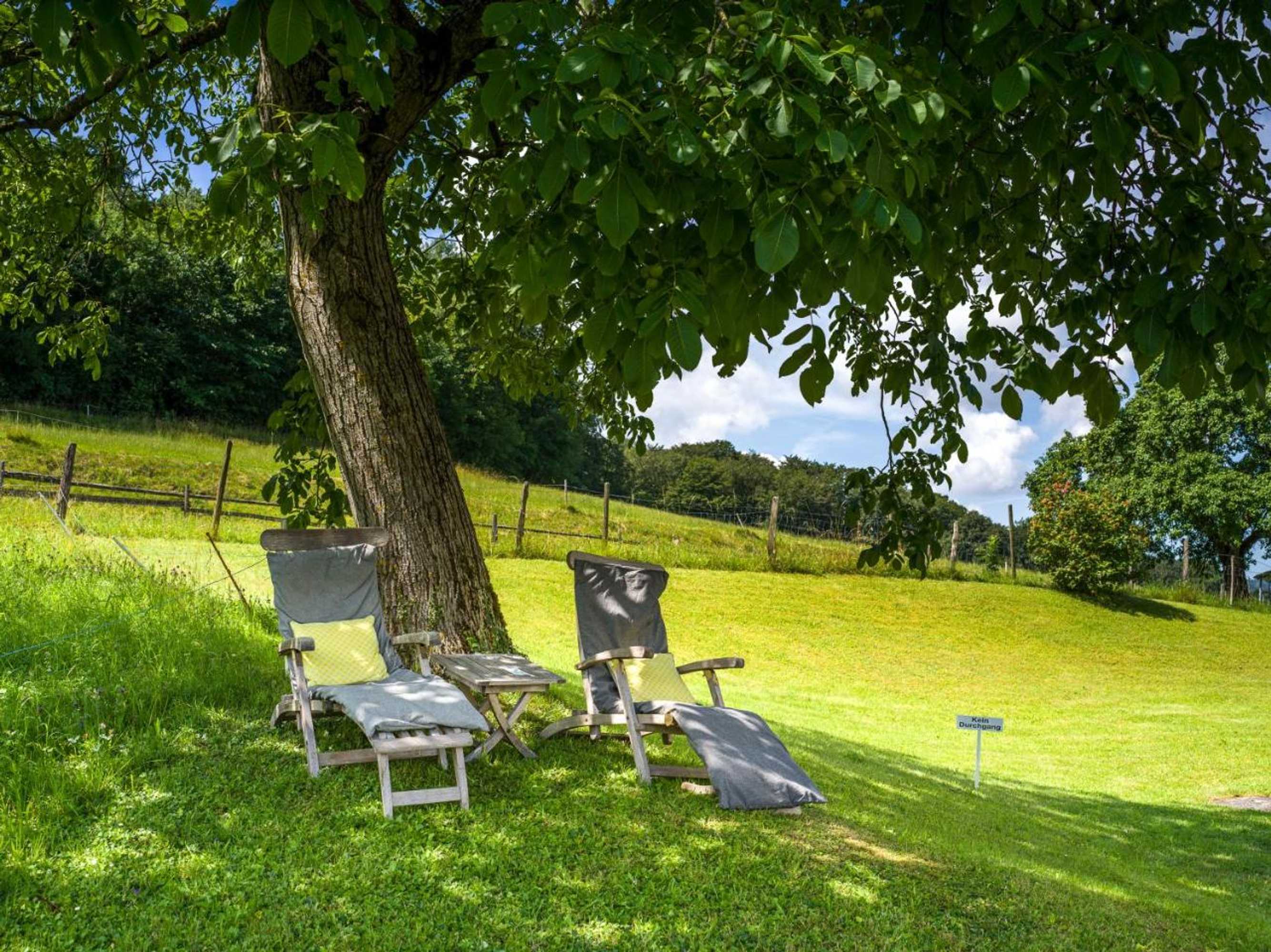 Gift card for Schloss Freudenfels