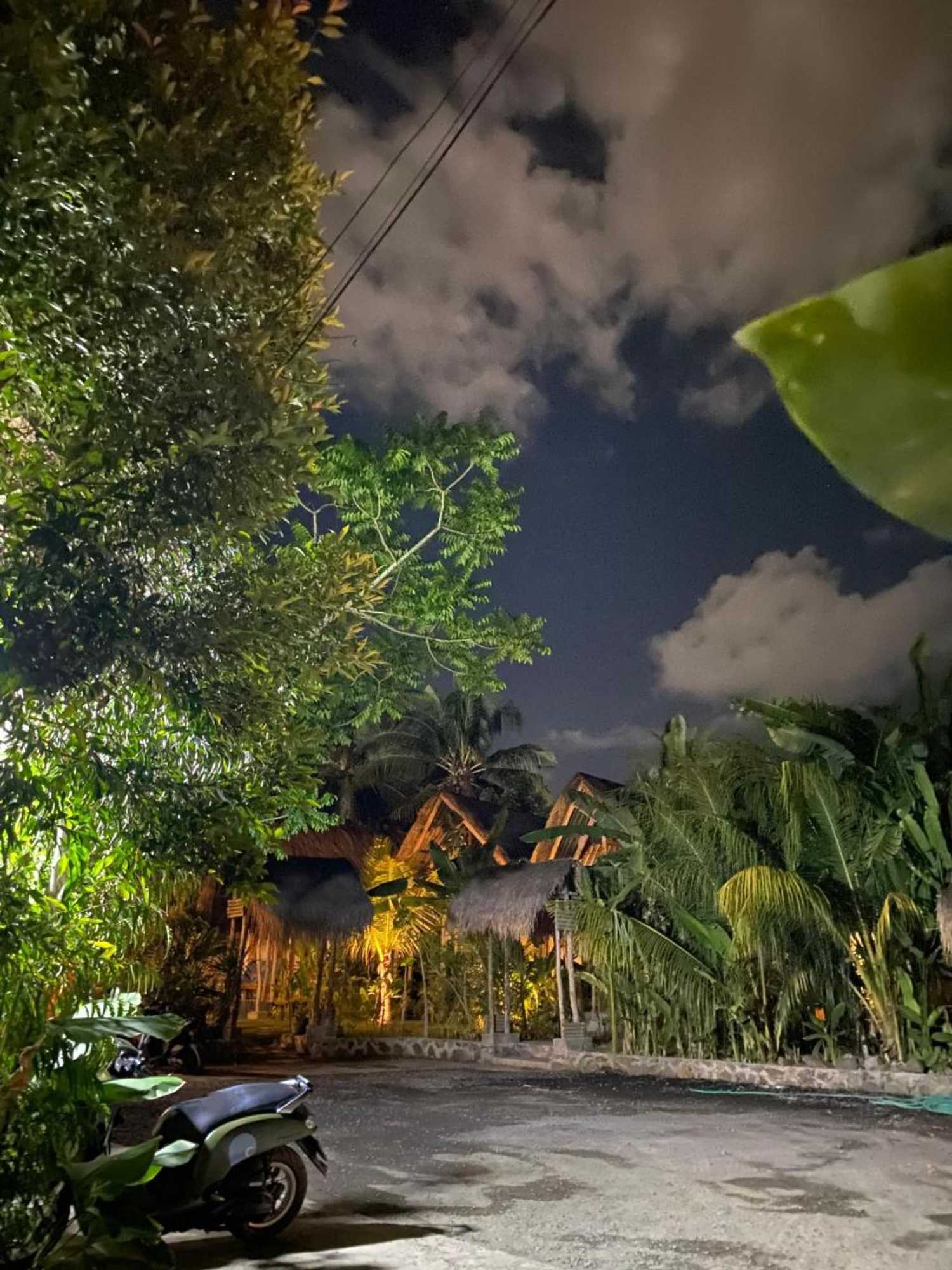 Gift card for Palm Green Hotel