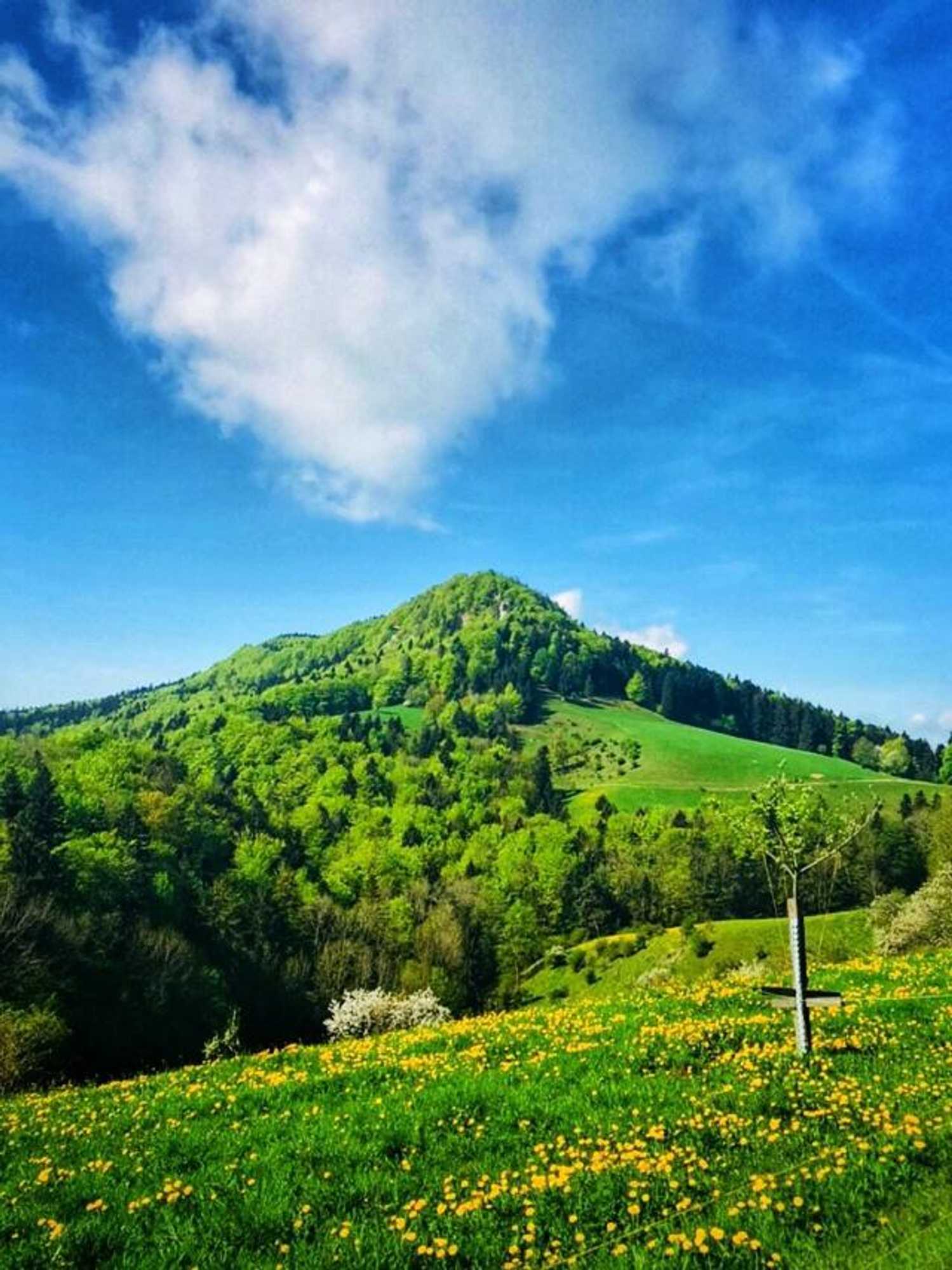 Gift card for Hotel Kreuz