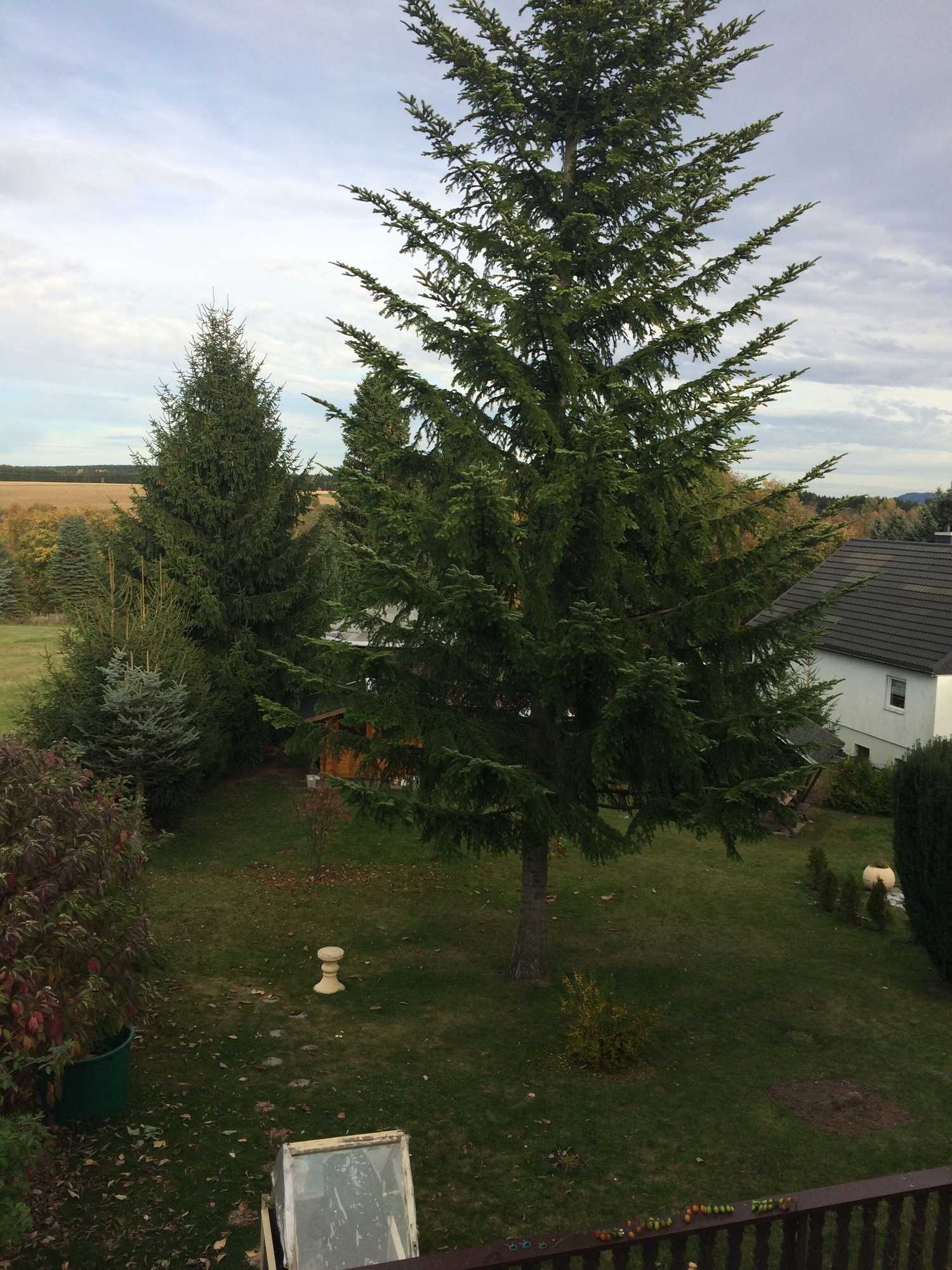 Gift card for Landhotel Elterlein