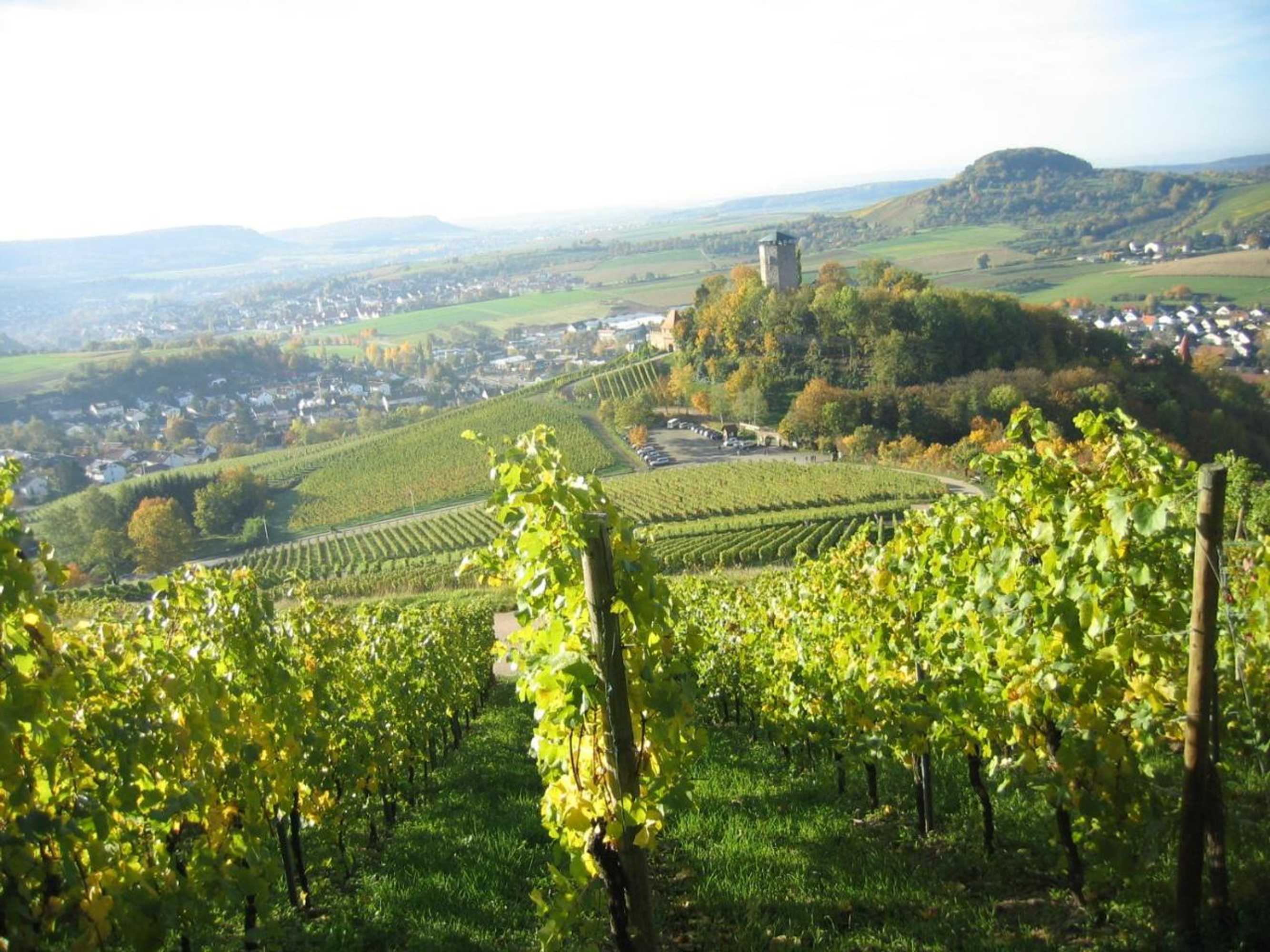 Gift card for Gasthof Lamm