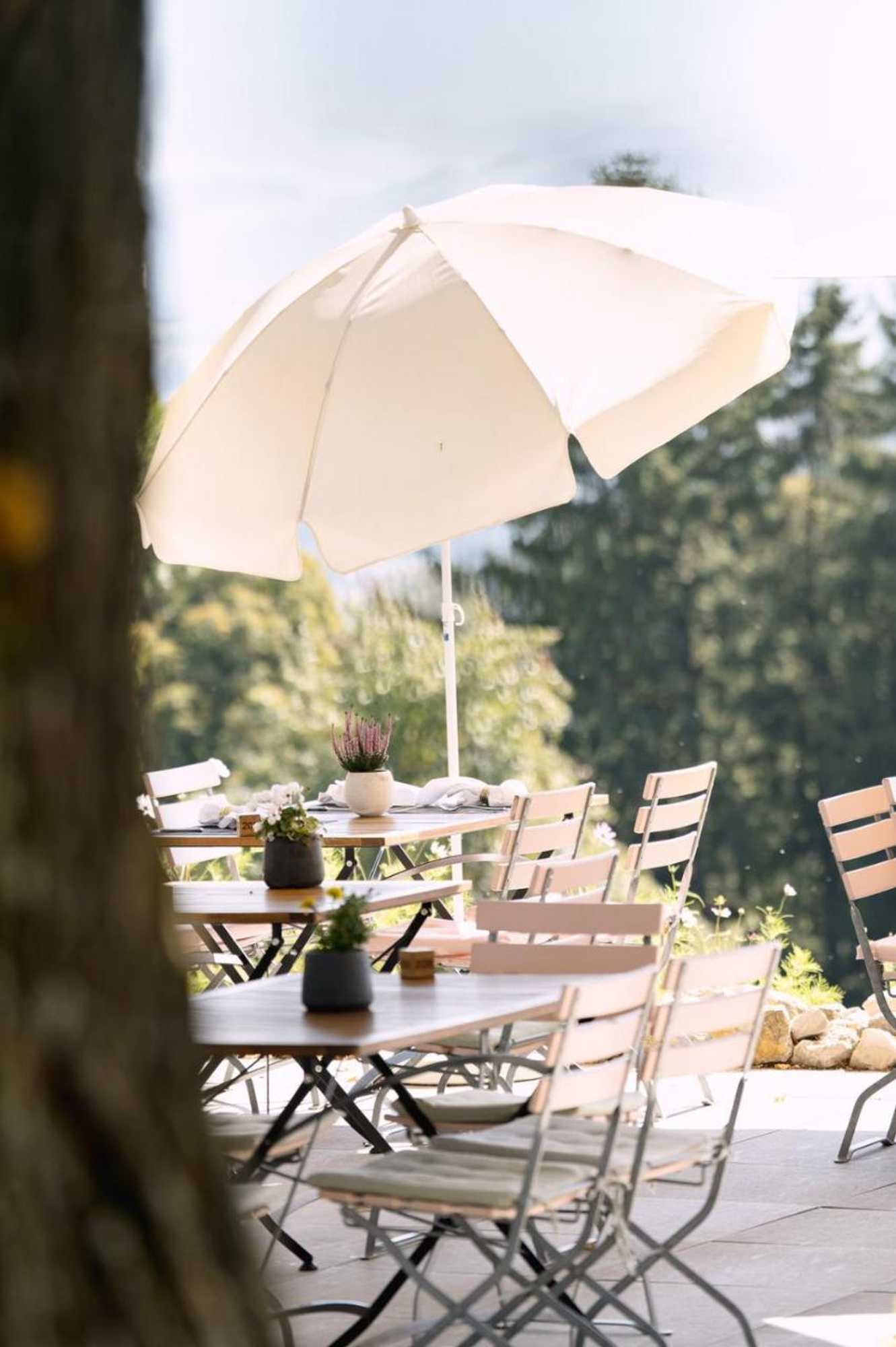 Gift card for Hotel & Restaurant Nollen