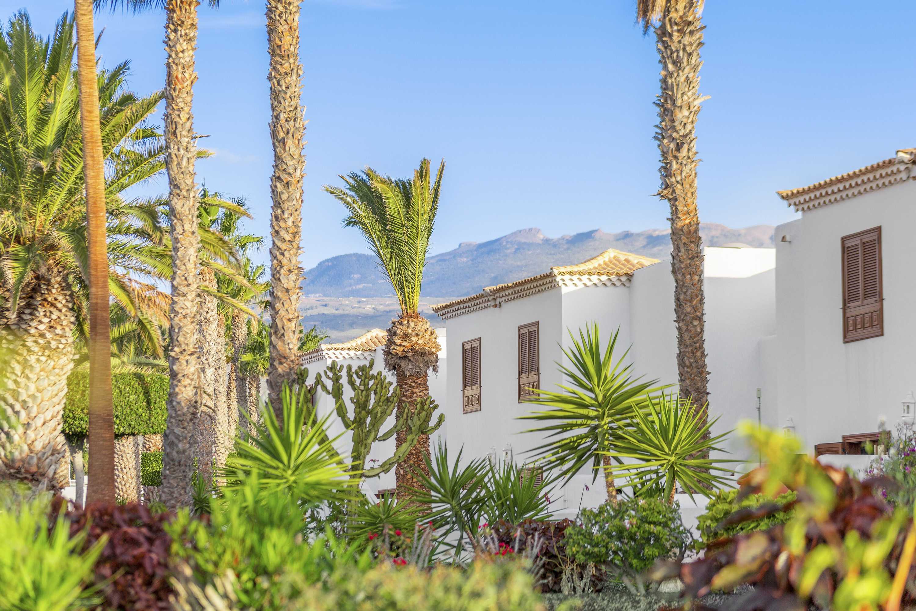 Gift card for Royal Tenerife Country Club Gift card for Royal Tenerife Country Club