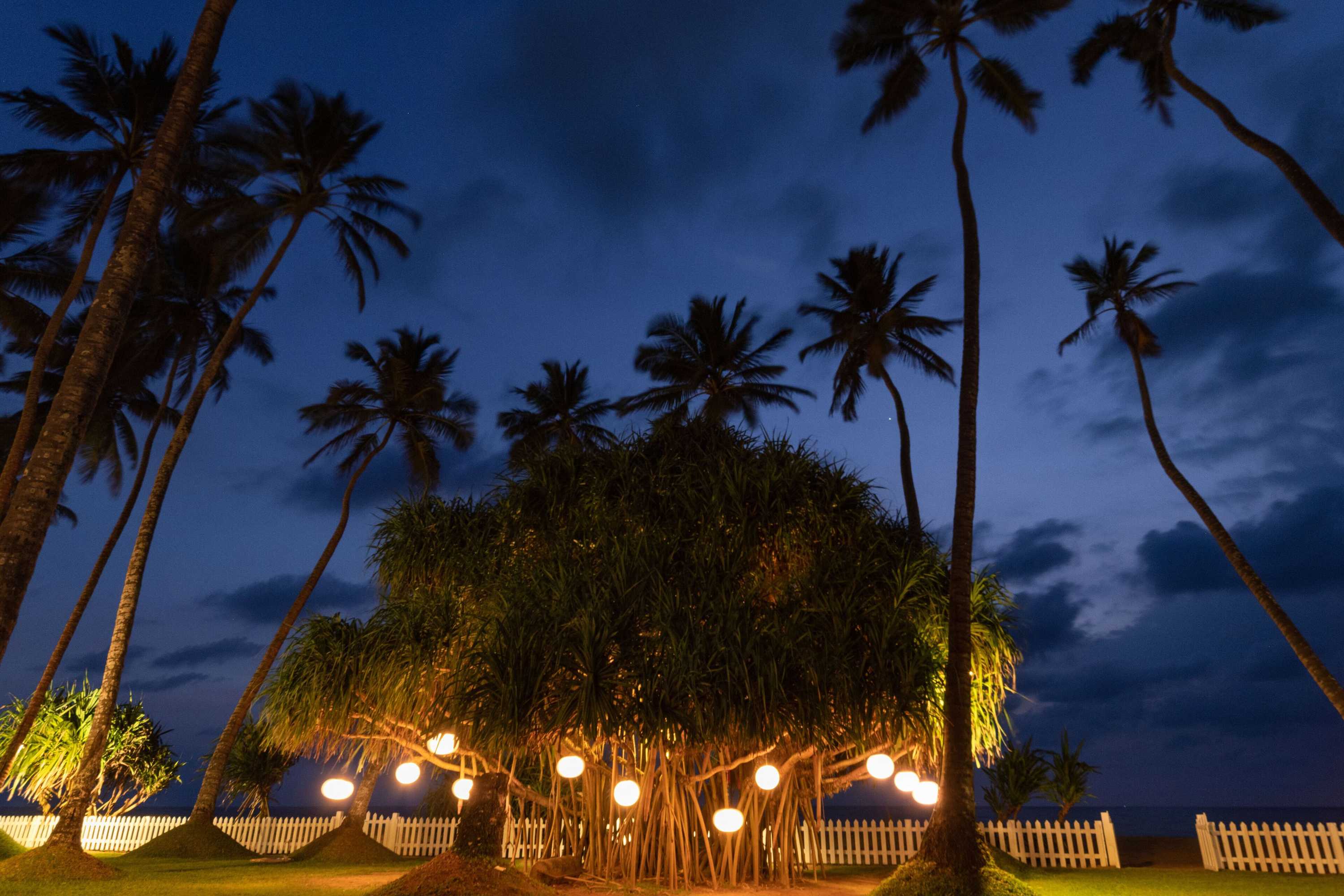 Gift card for Clove Beach Wadduwa Gift card for Clove Beach Wadduwa