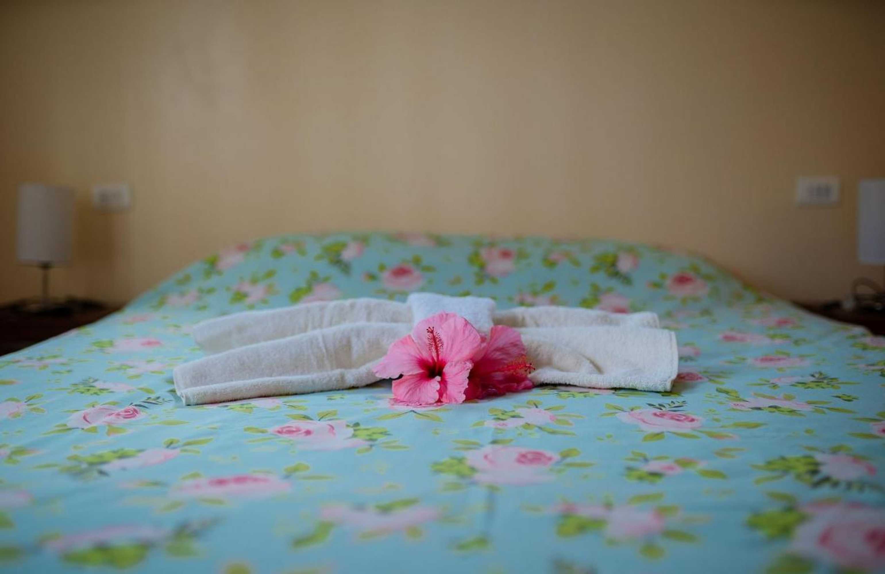 Gift card for Cabañas Vaiora