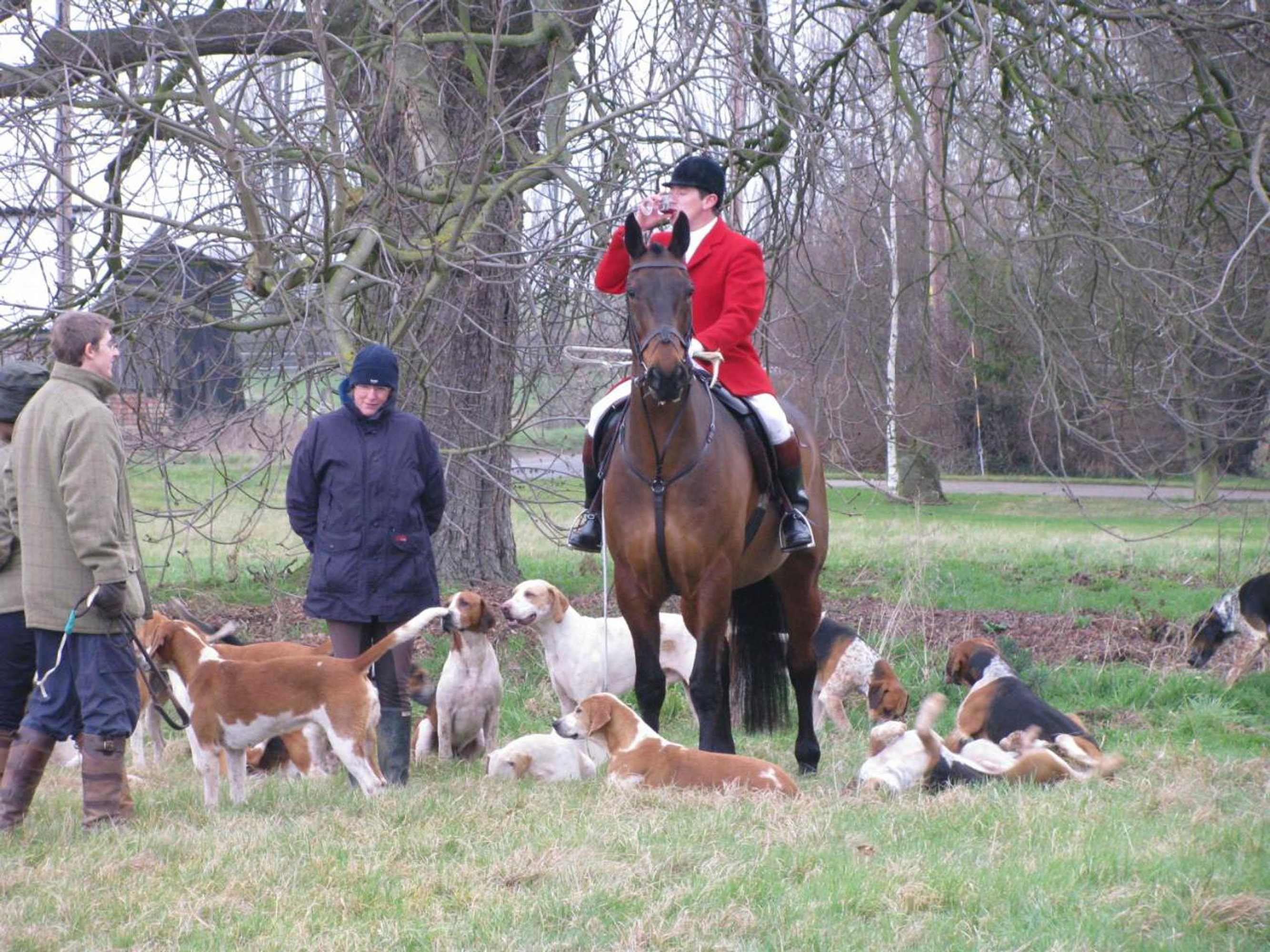 Gift card for B&b The Pippins