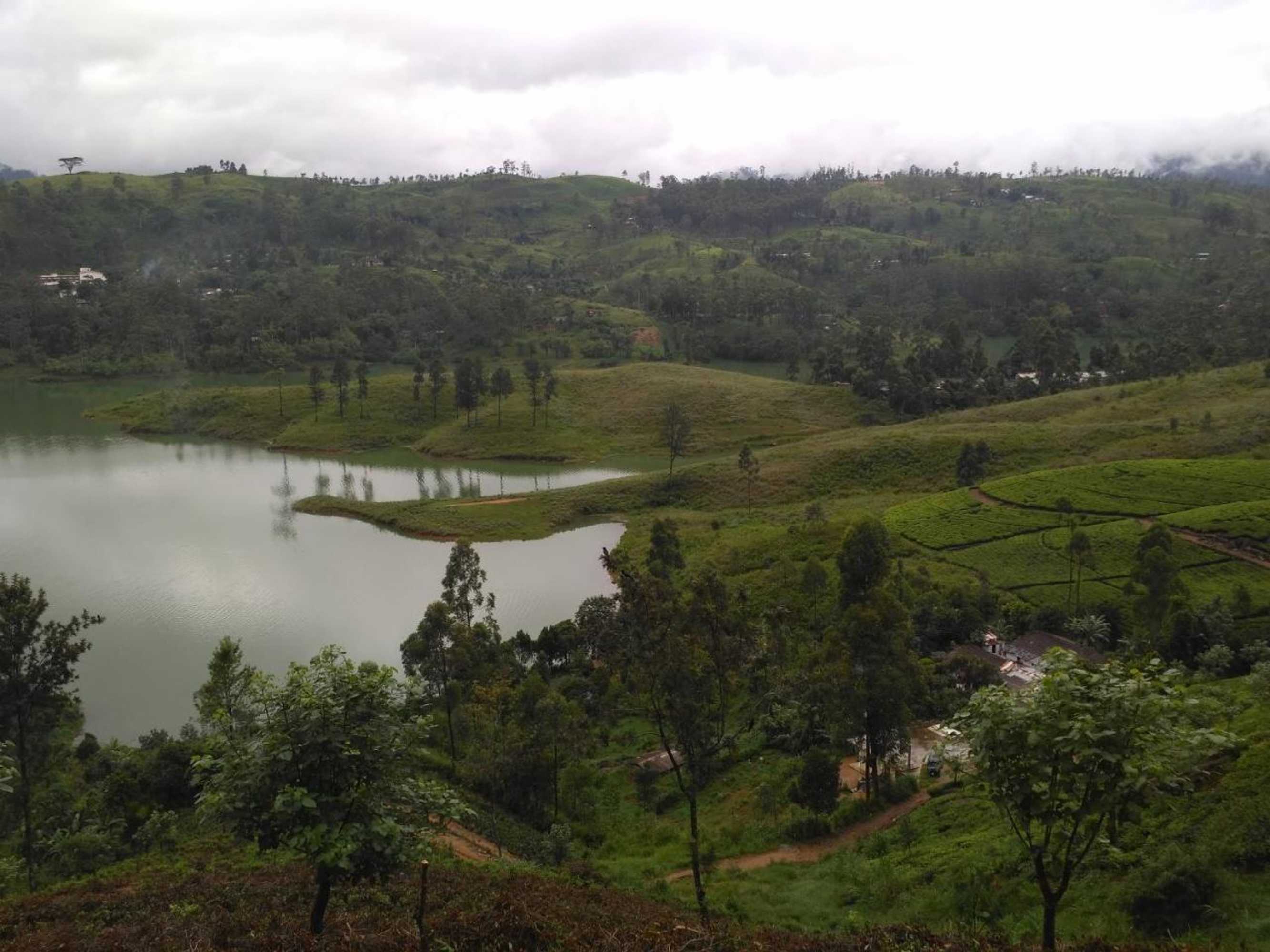 Gift card for Dam House (near Adams Peak)