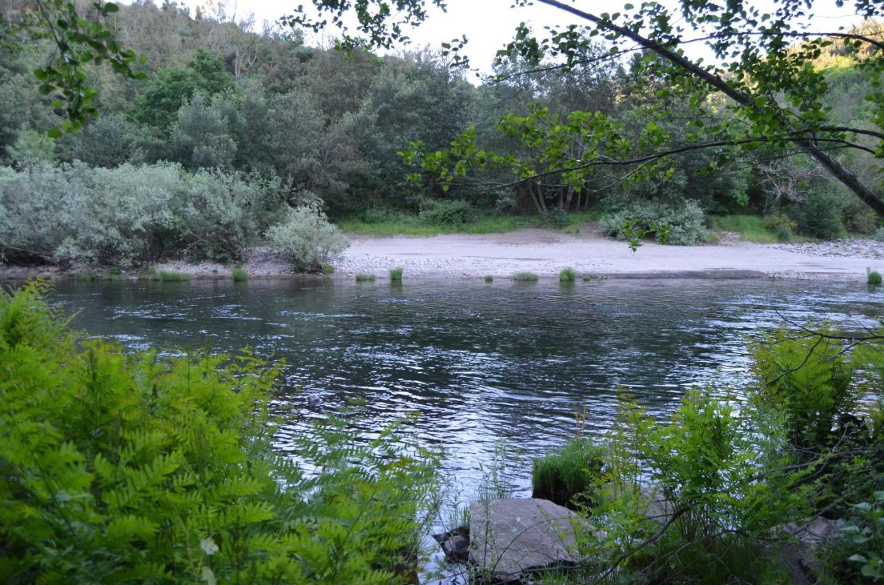 Gift card for Rio Moment's