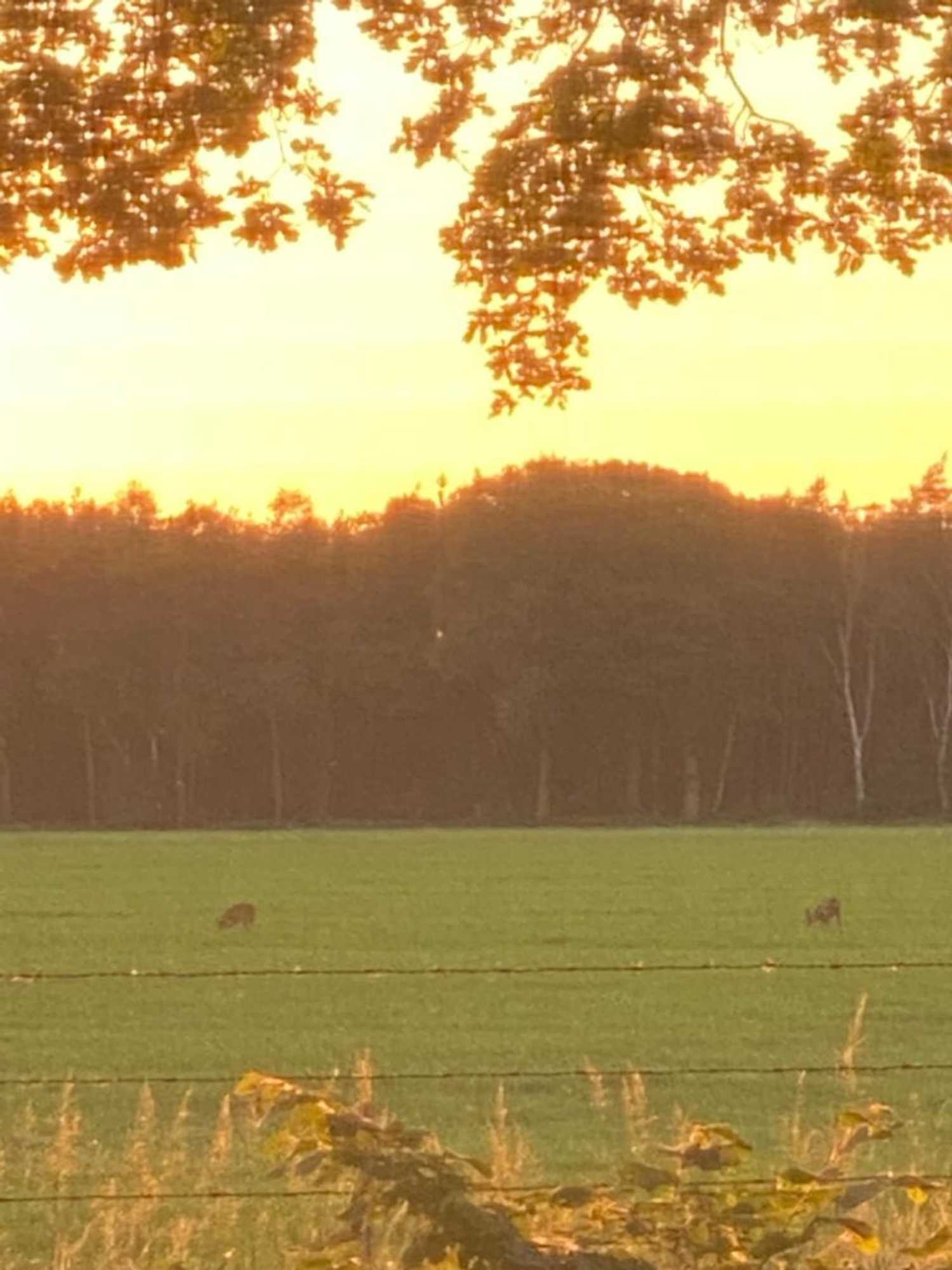 Gift card for Chalet de Kleine Eekhoorn