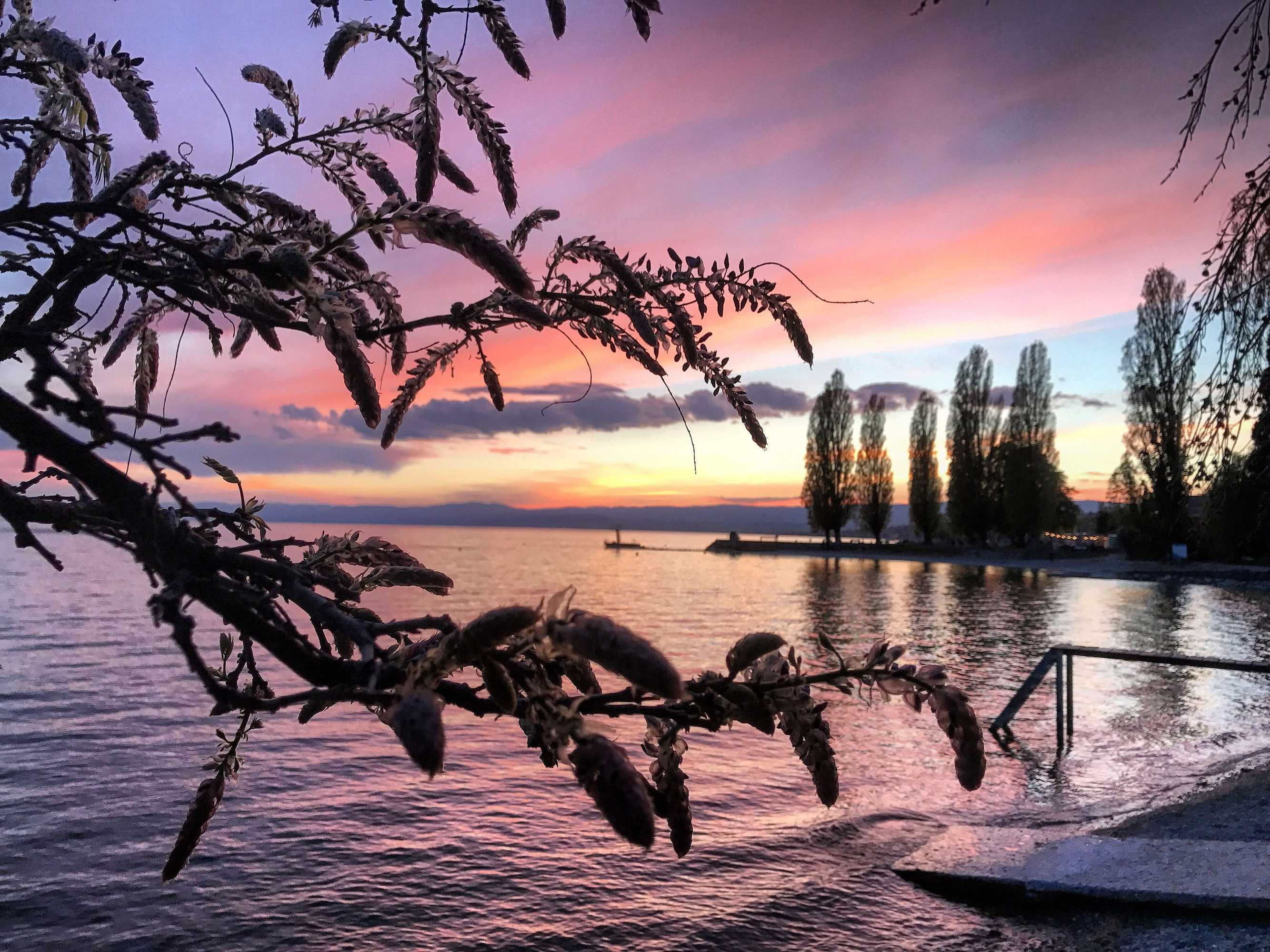 Gift card for Rivage Hotel Restaurant Lutry Gift card for Rivage Hotel Restaurant Lutry