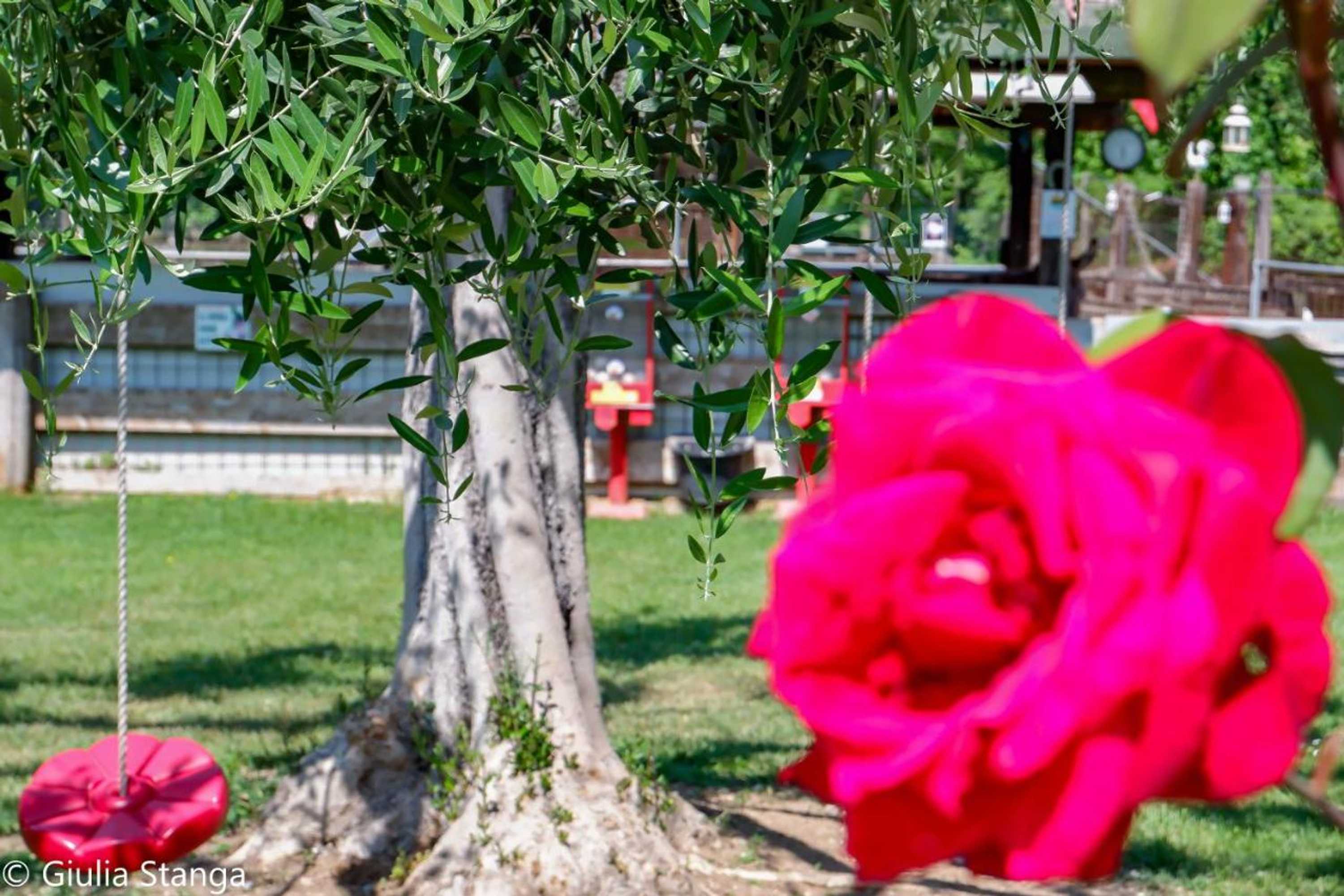 Gift card for Cascina Graziosa
