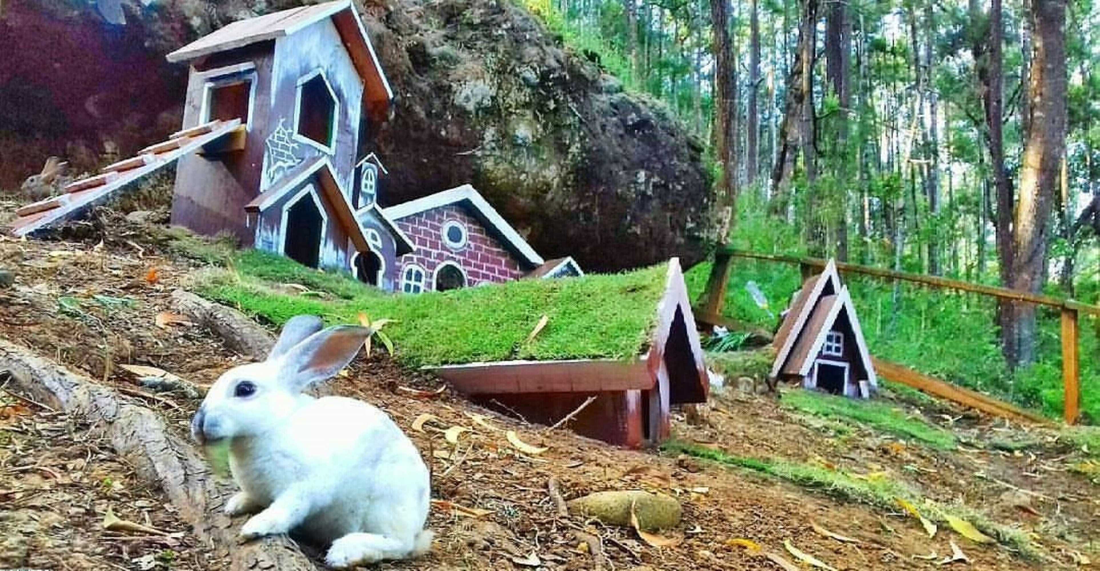 Gift card for Seribu Batu Songgo Langit Resort & Camp