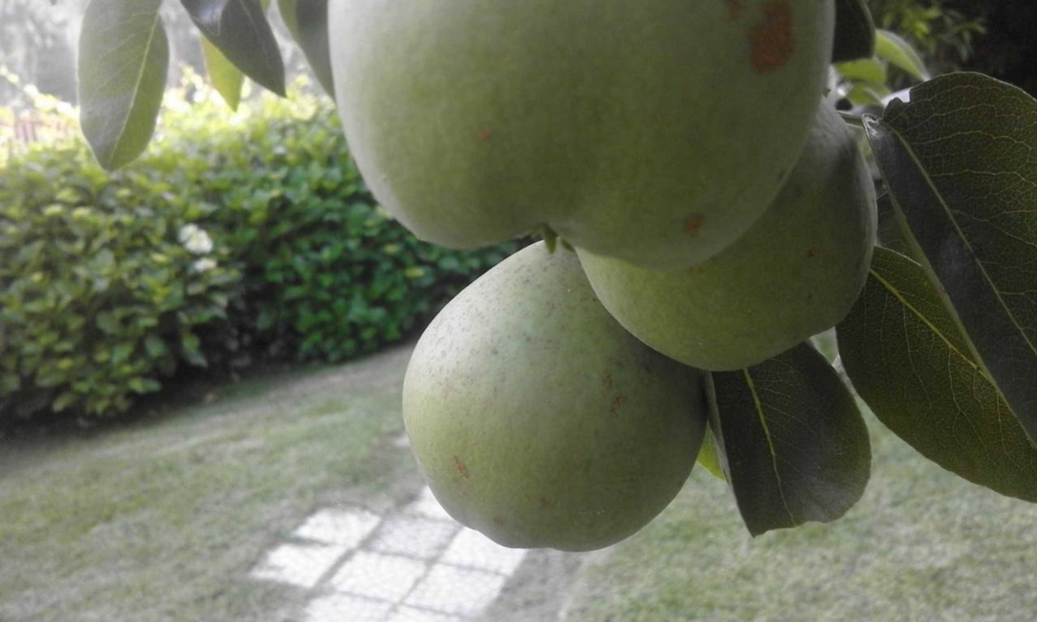 Gift card for Terraços da Beira