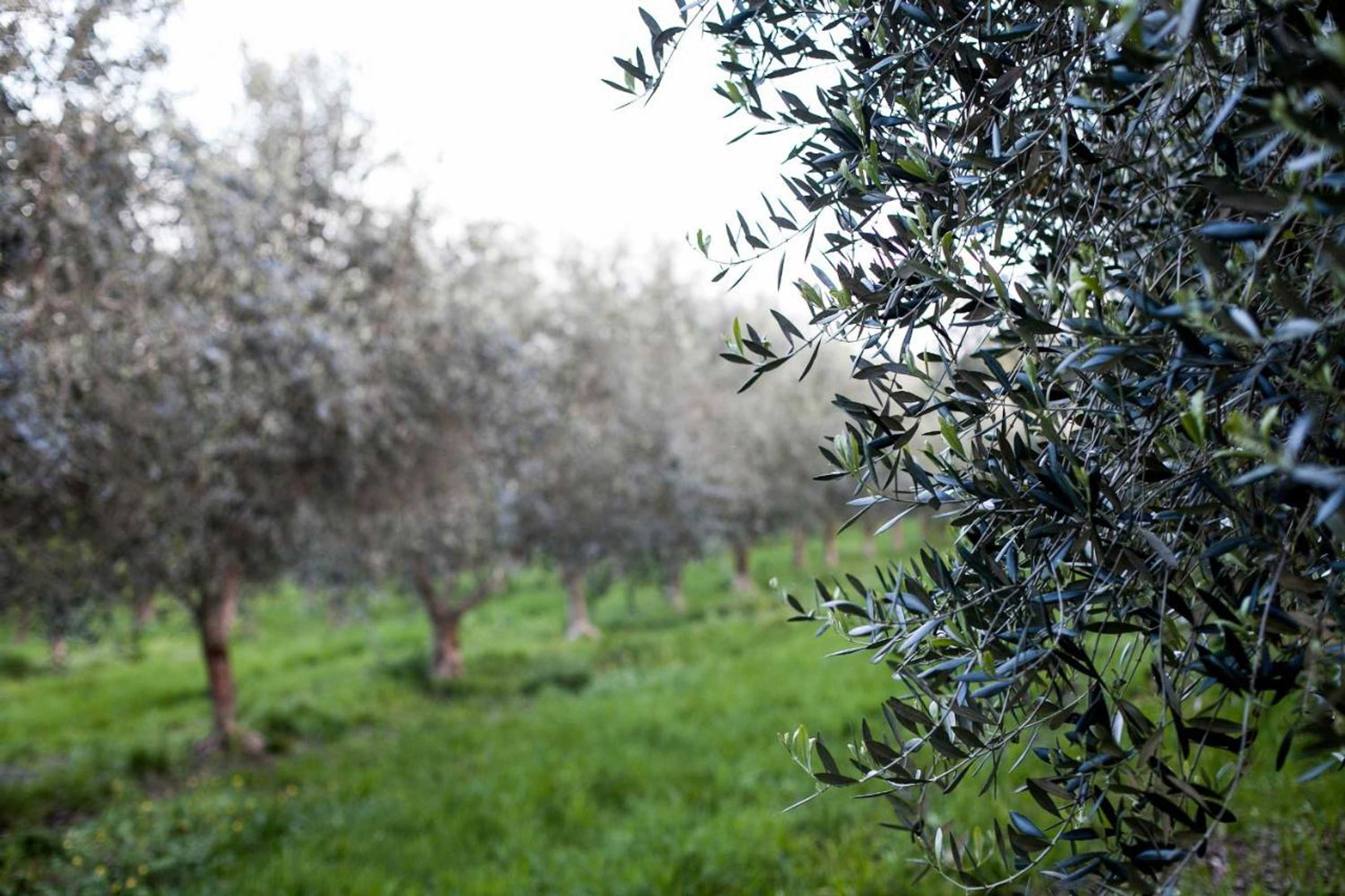 Gift card for Hart's Farm