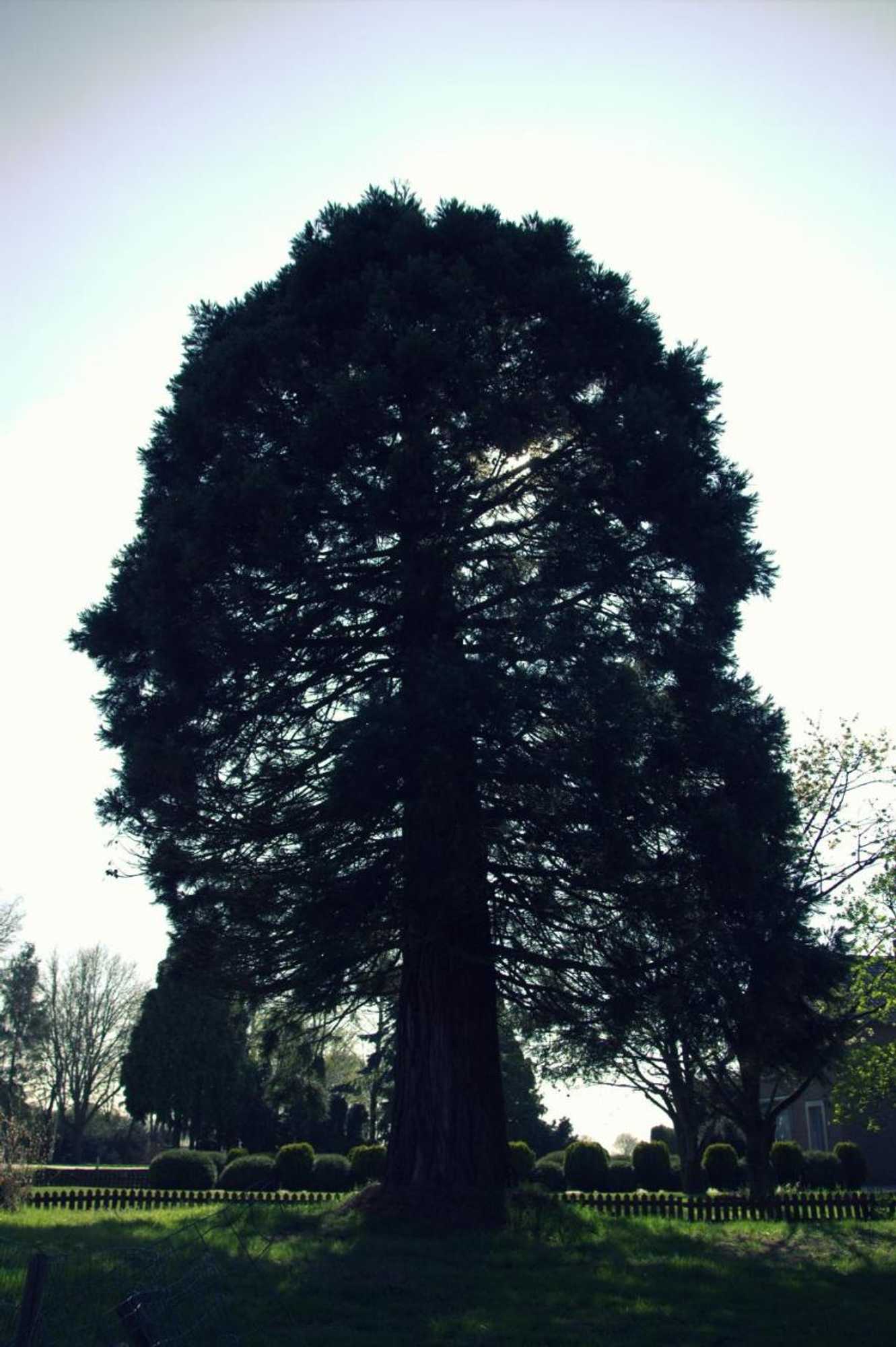 Gift card for B&b Van Beijden