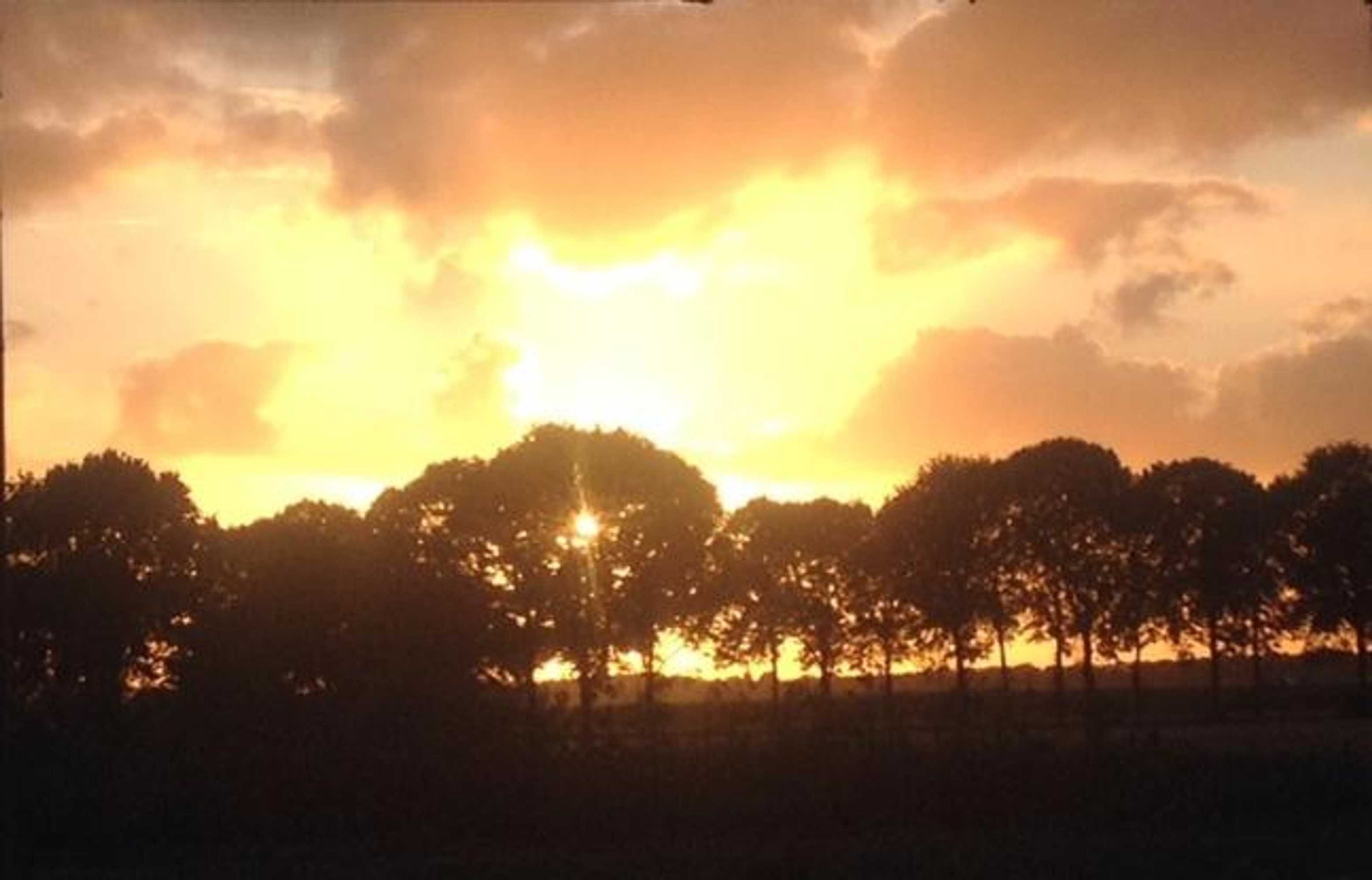 Gift card for B&b In Ons Straatje