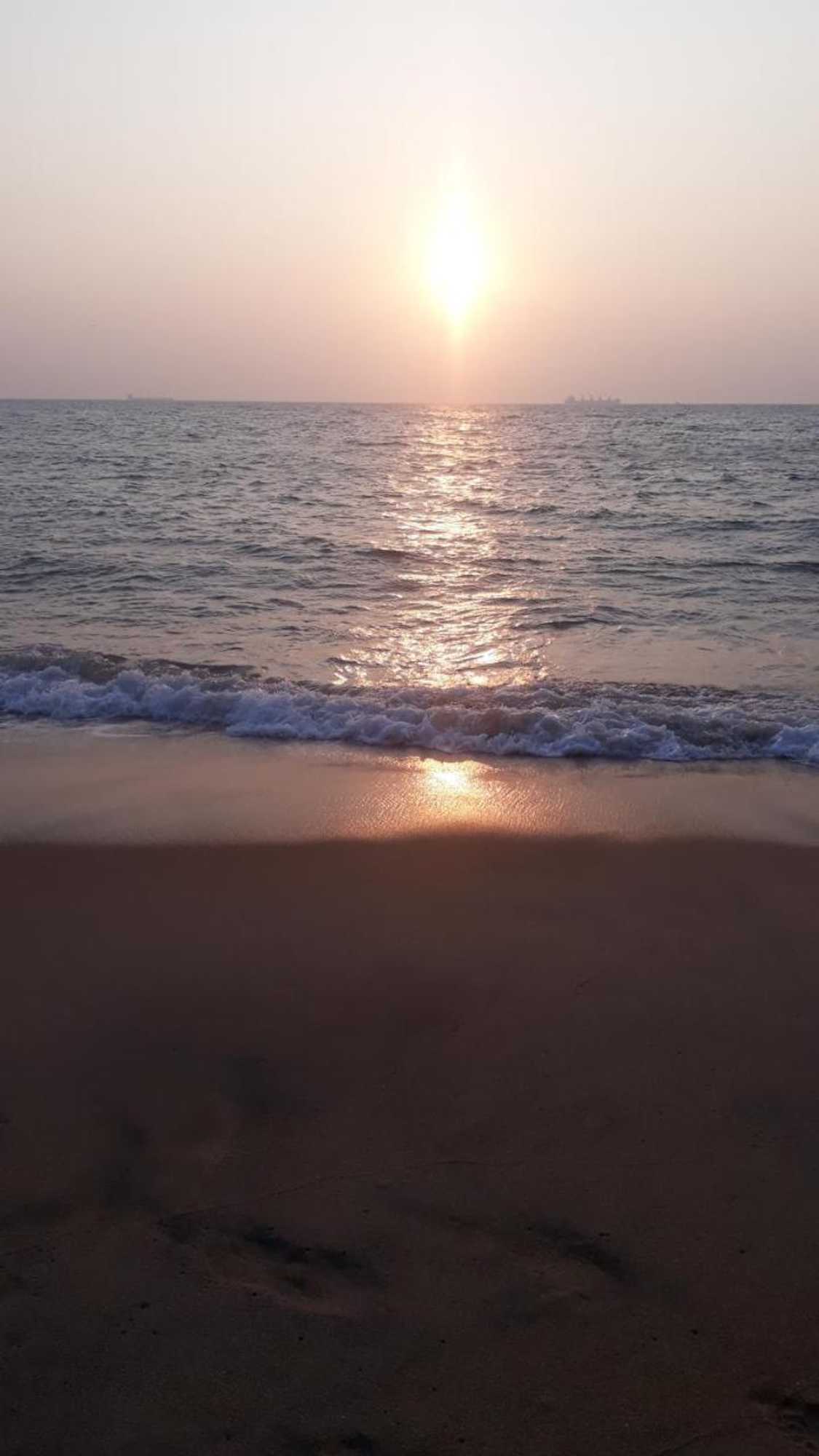 Gift card for Dolphinchilling