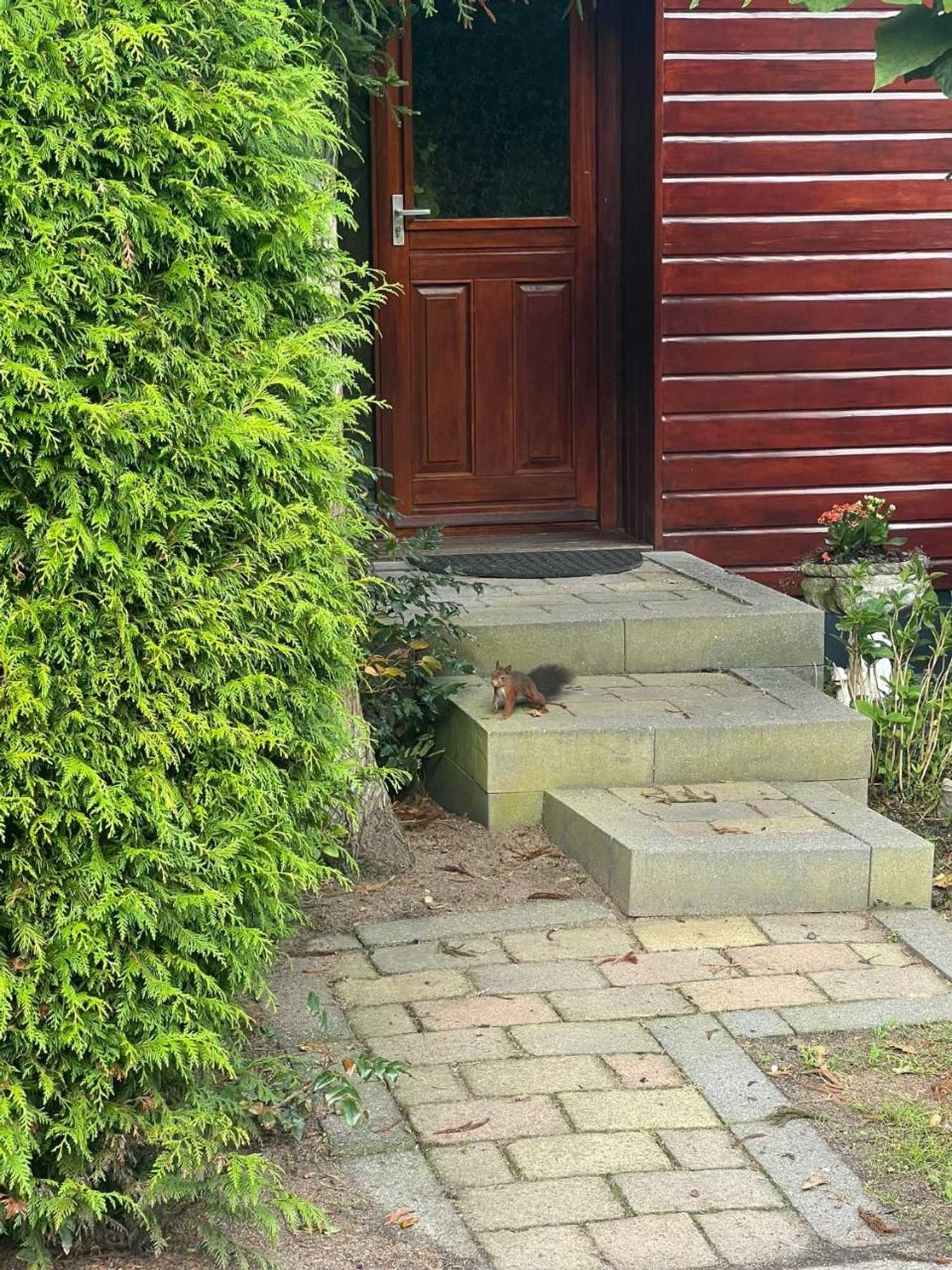 Gift card for Chalet Reewold