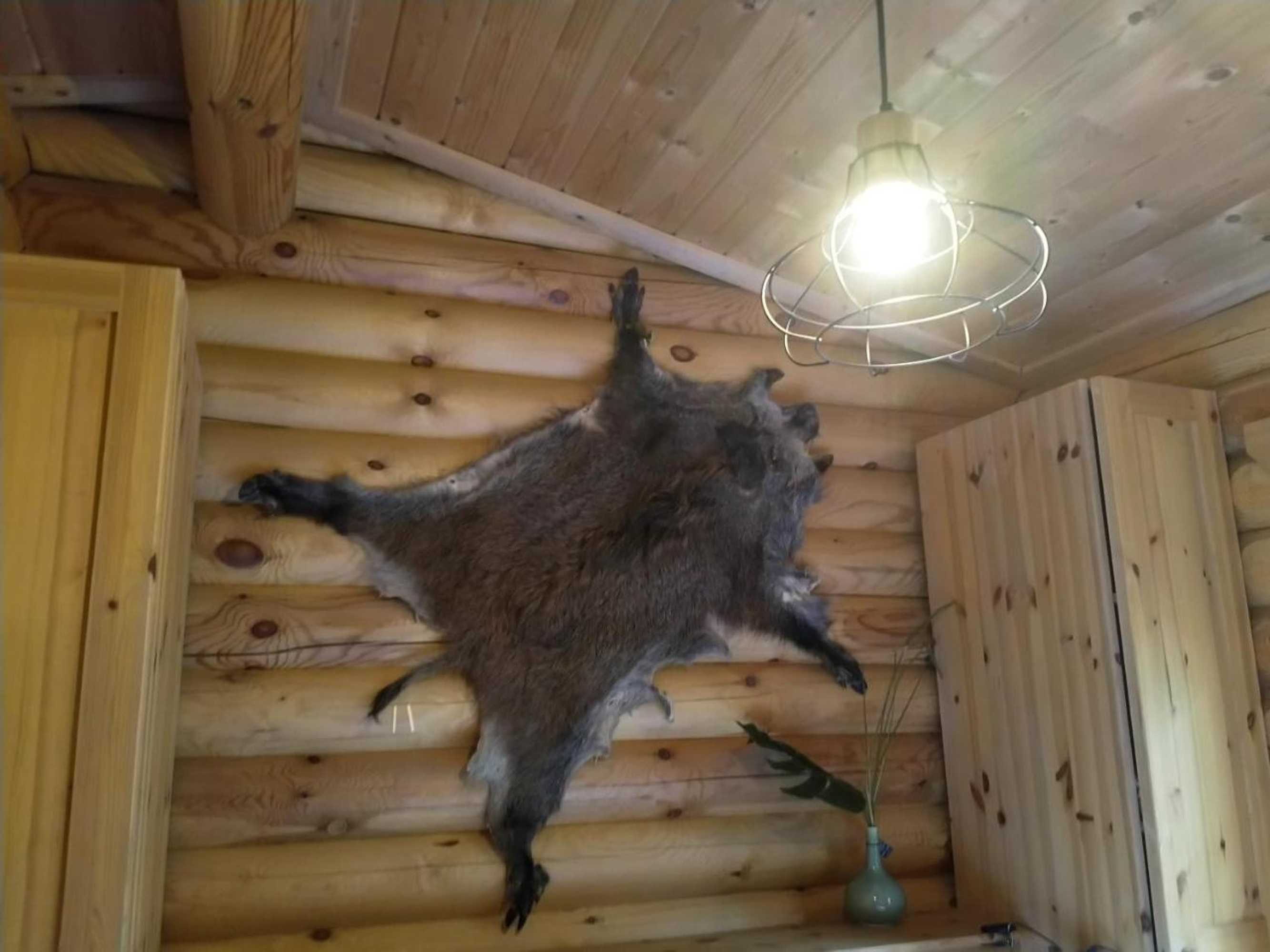 Gift card for De Stamper - De Wije Werelt