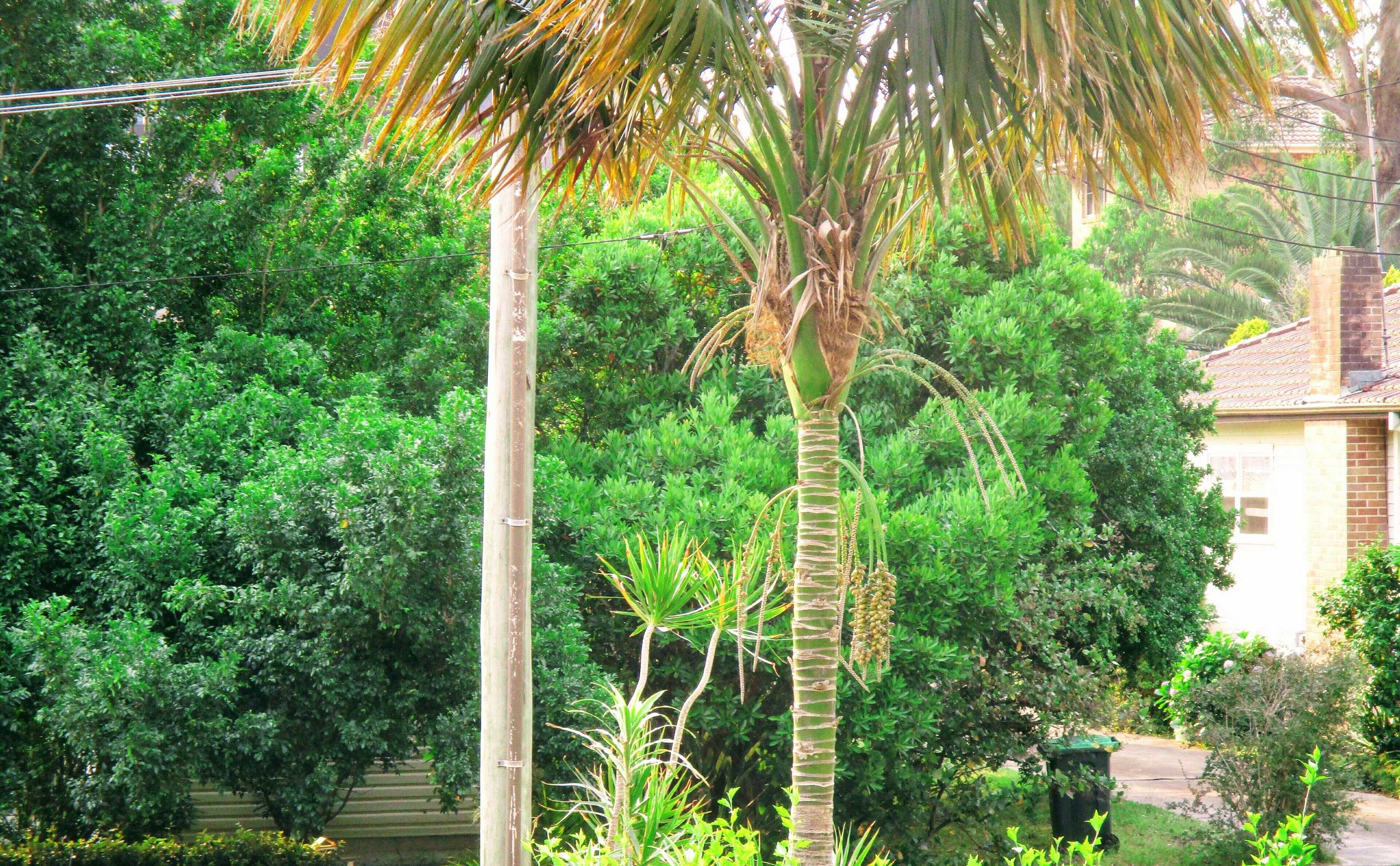 Gift card for Gosford Palms Motor Inn Gift card for Gosford Palms Motor Inn