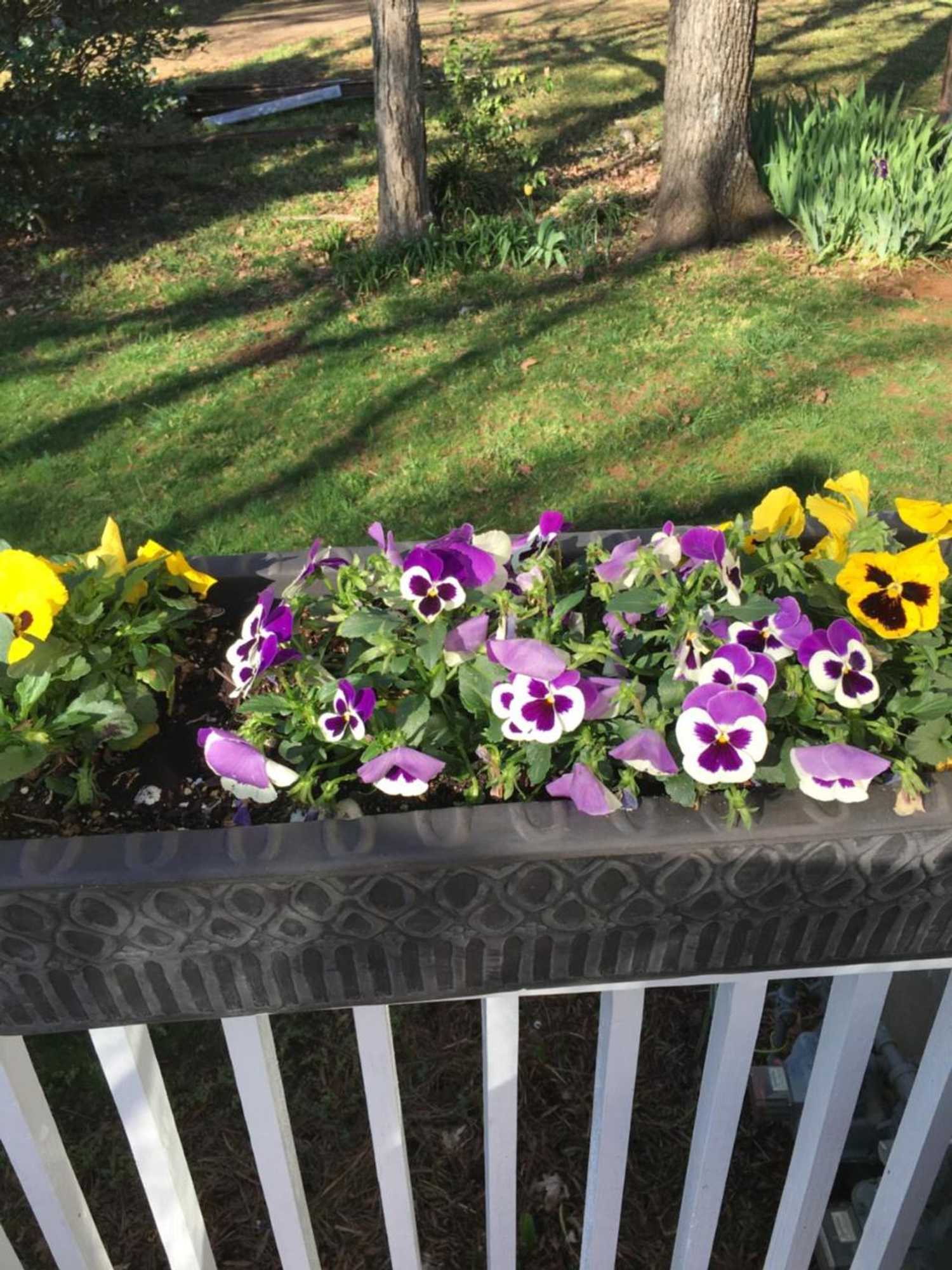 Gift card for The Inn on Front Street