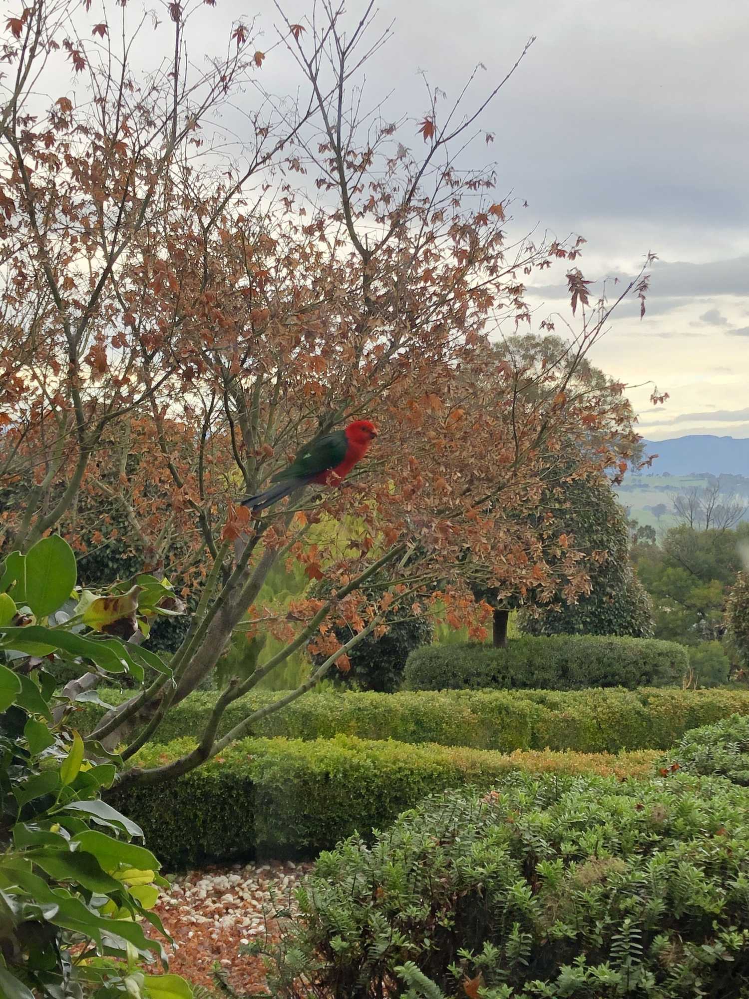 Gift card for The Studio Yarra Valley