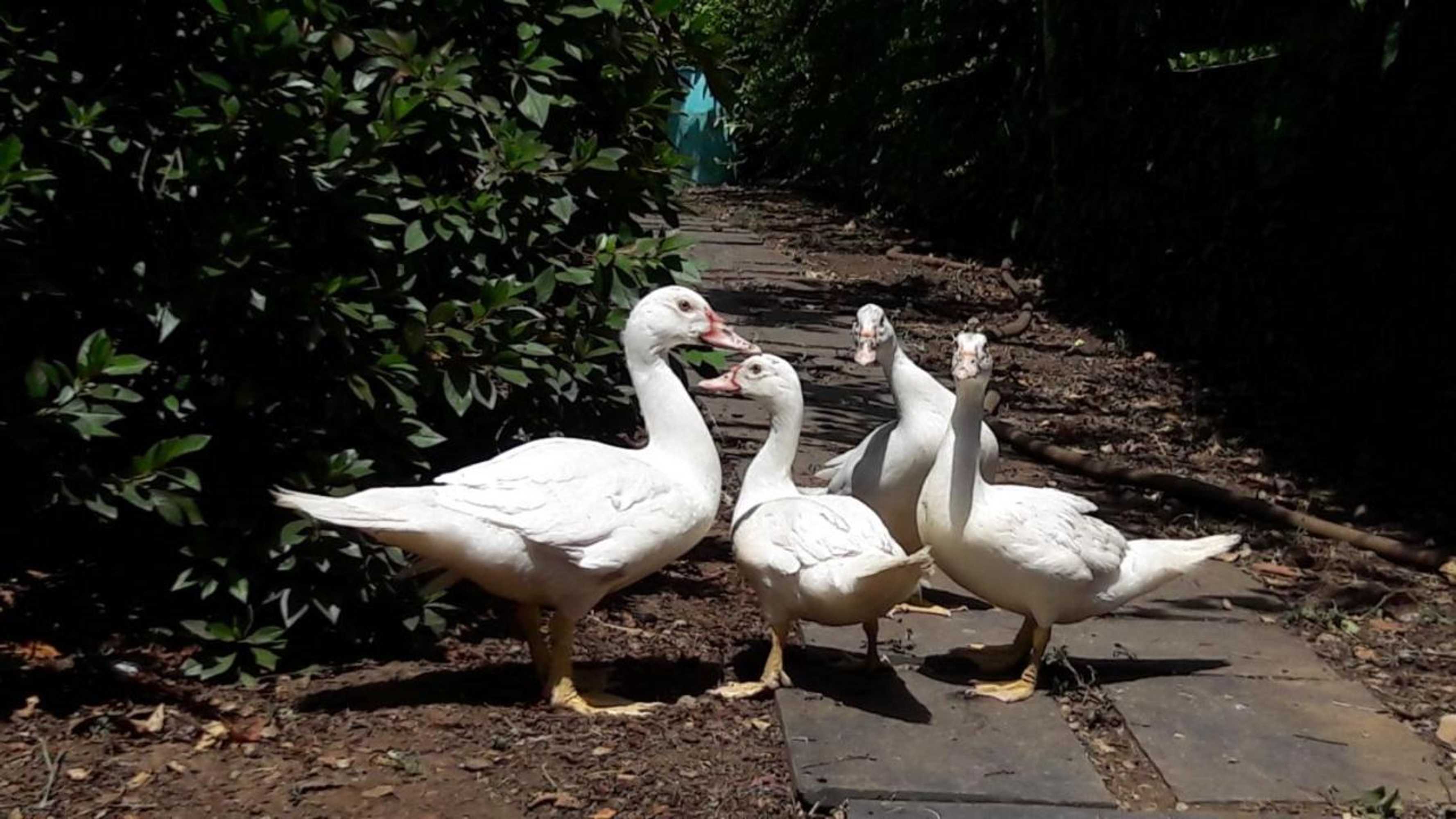 Gift card for Quinta Drº Amarante