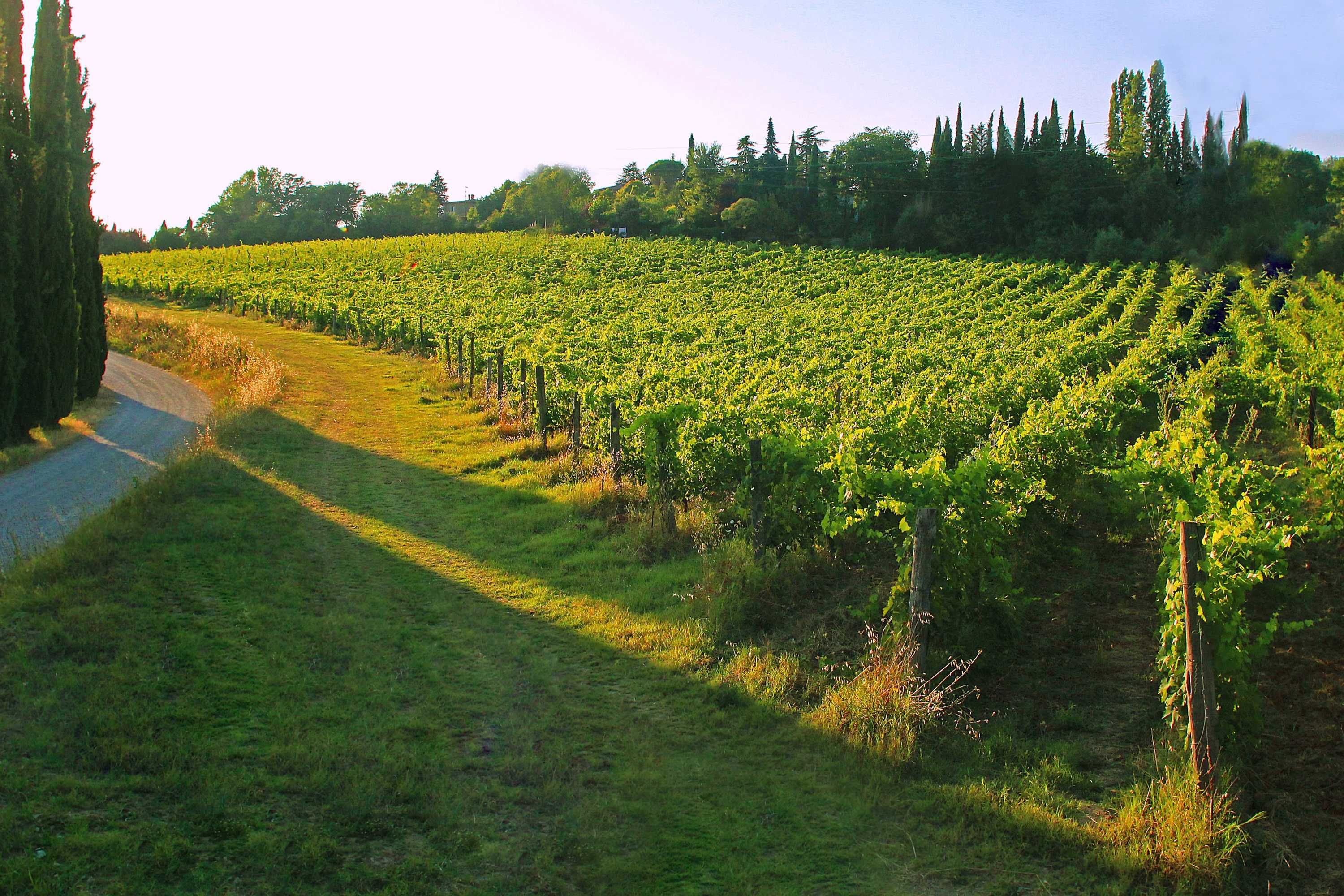 Gift card for Agriturismo La Striscia