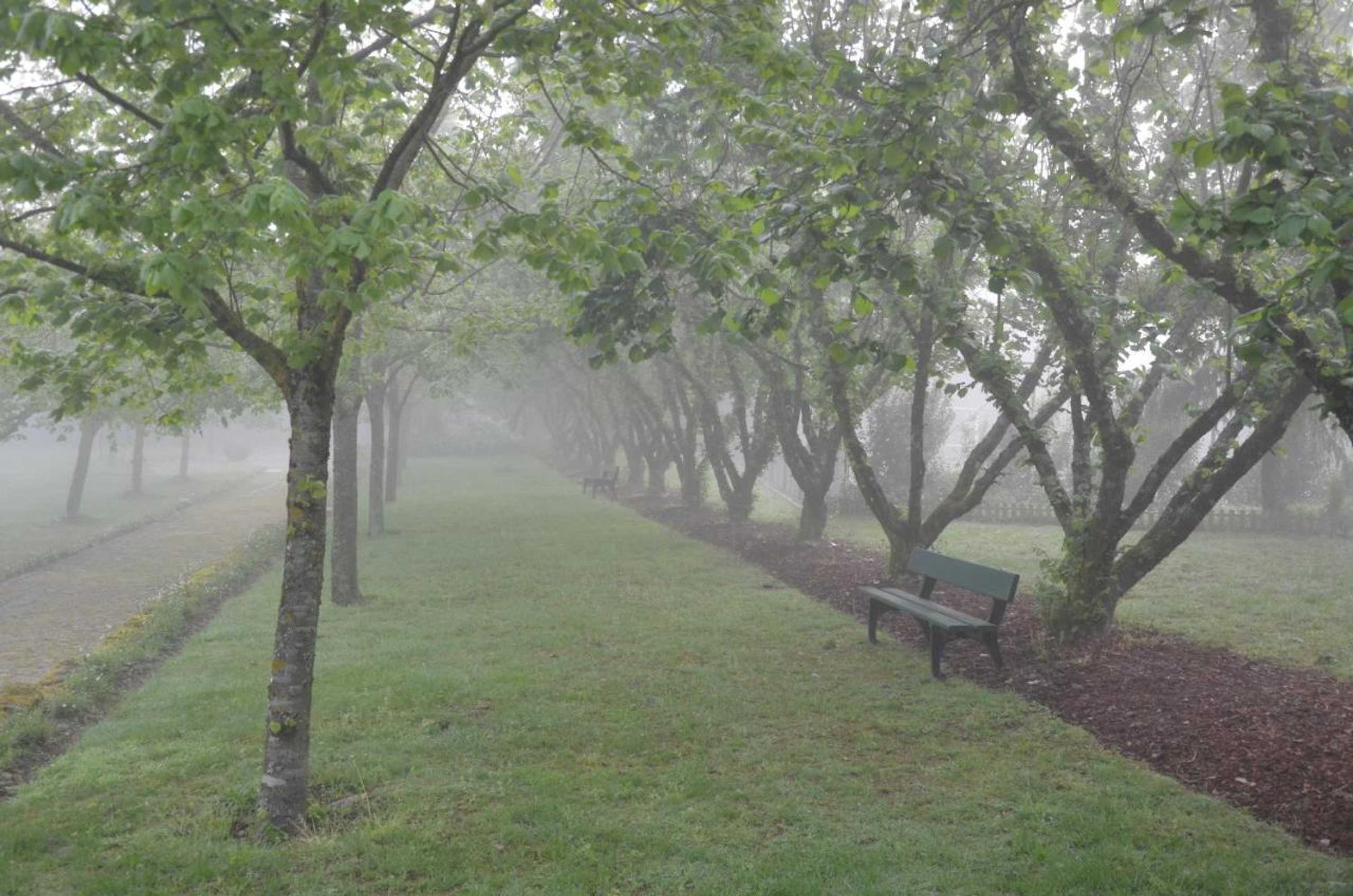 Gift card for Casa De Fatauncos