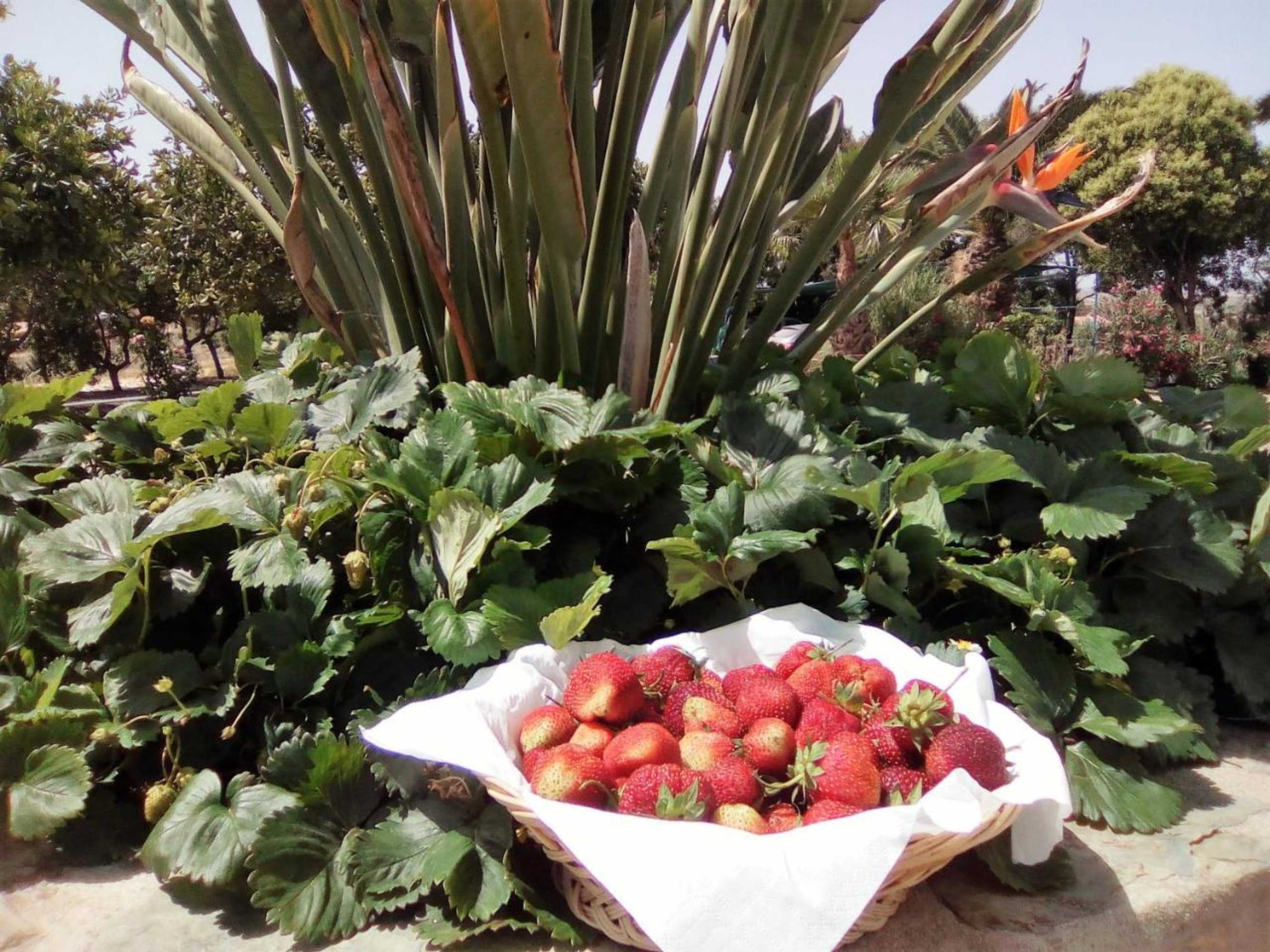 Gift card for Monte Das Galhanas