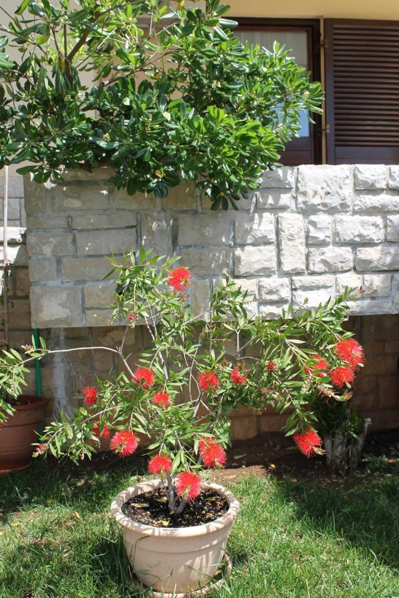 Gift card for Apartments Mareblu