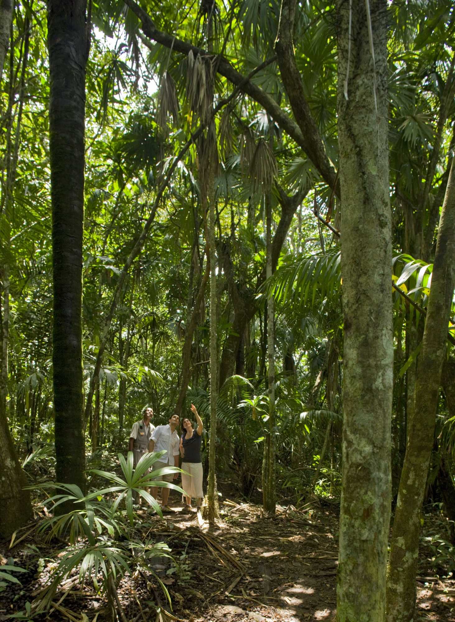 Gift card for Gamboa Rainforest Reserve Gift card for Gamboa Rainforest Reserve